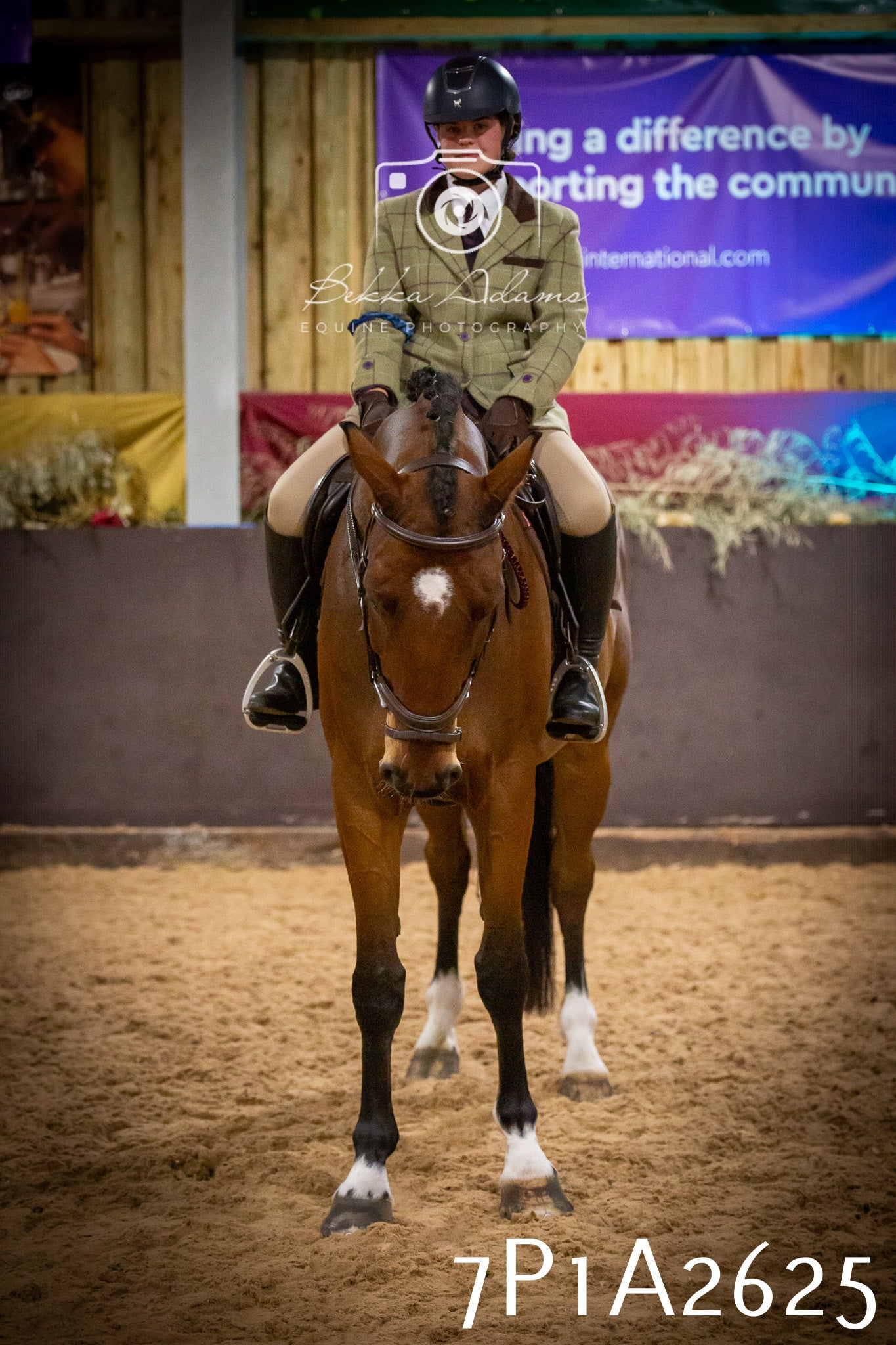 JHOYS 2025 - Ridden Showing - 28th September - pt2
