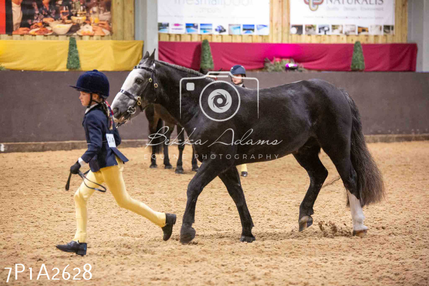 Home Farm Funshine Show 2024 - Inhand Showing 14th September