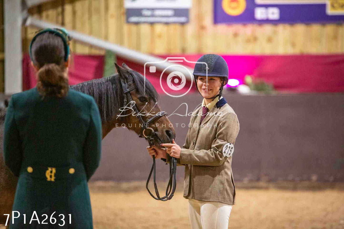 Home Farm Funshine Show 2024 - Inhand Showing 14th September