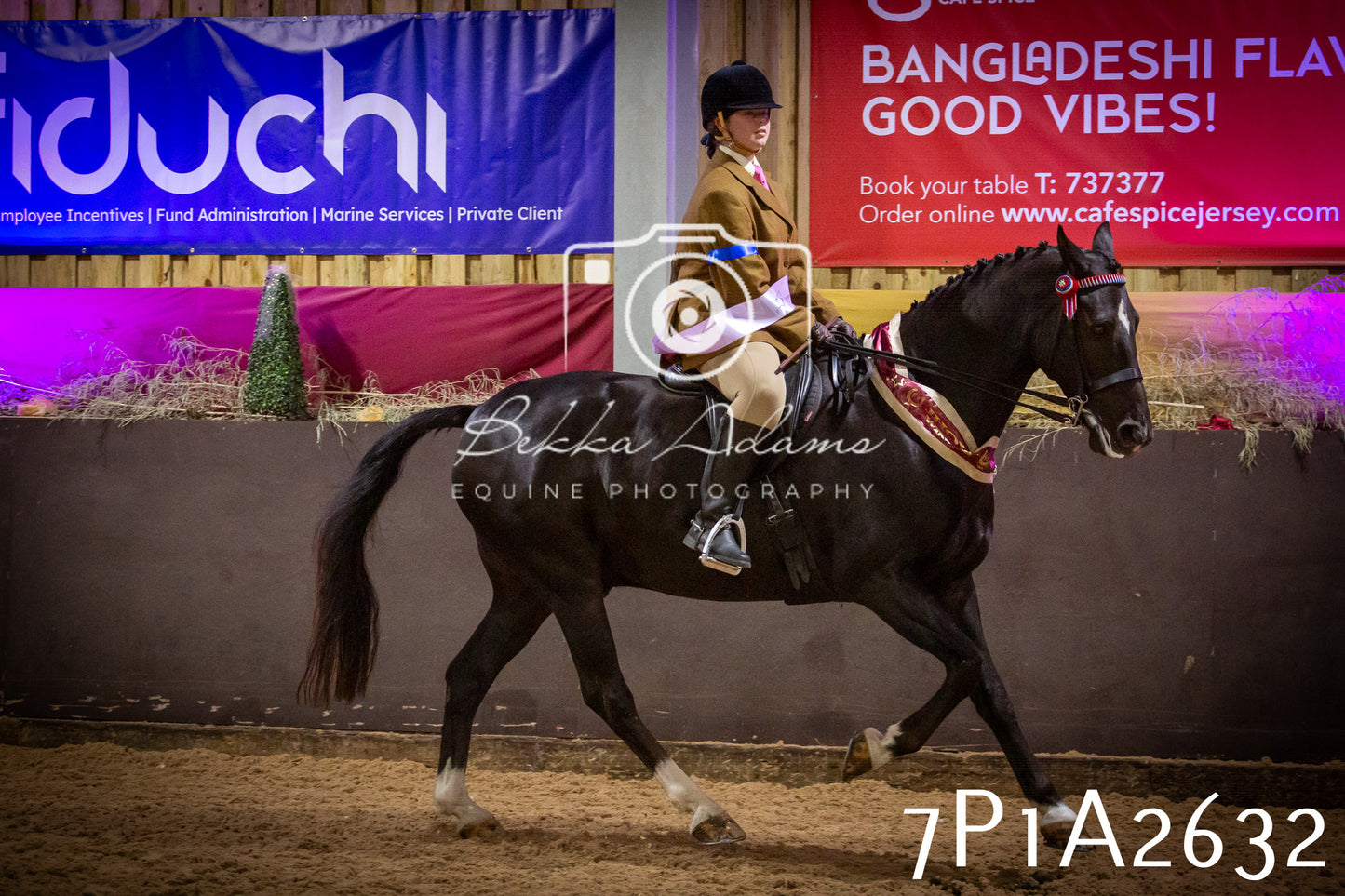 JHOYS 2025 - Ridden Showing - 28th September - pt2