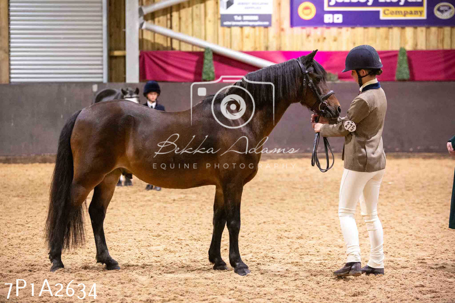 Home Farm Funshine Show 2024 - Inhand Showing 14th September