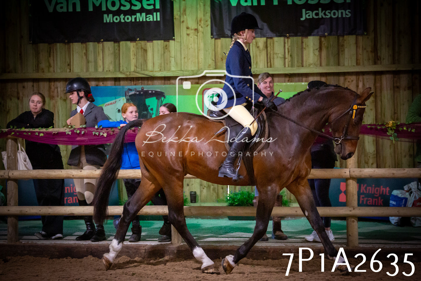 JHOYS 2025 - Ridden Showing - 28th September - pt2