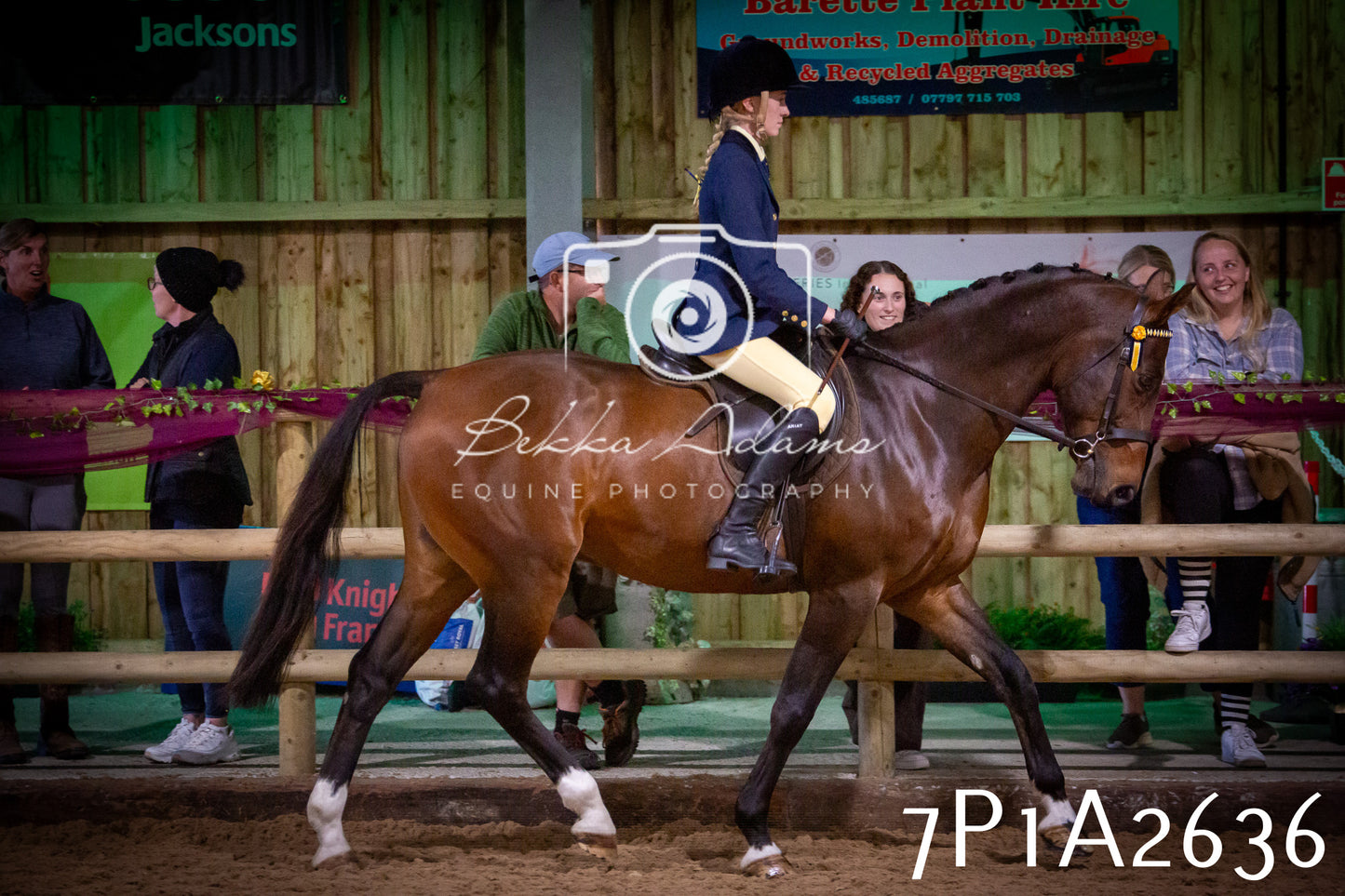 JHOYS 2025 - Ridden Showing - 28th September - pt2