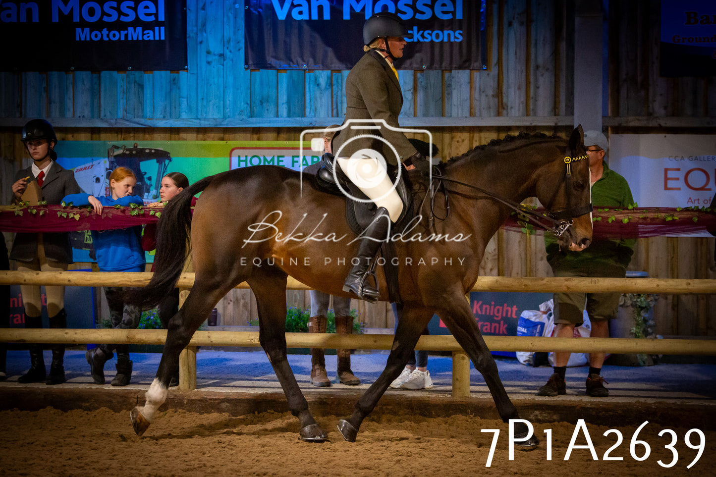 JHOYS 2025 - Ridden Showing - 28th September - pt2