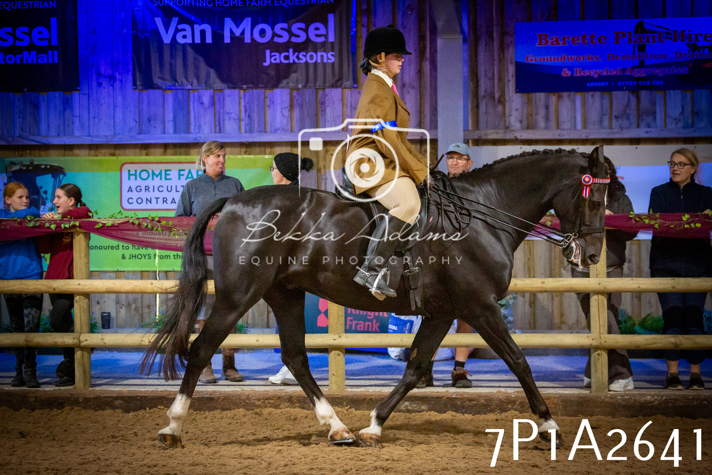 JHOYS 2025 - Ridden Showing - 28th September - pt2