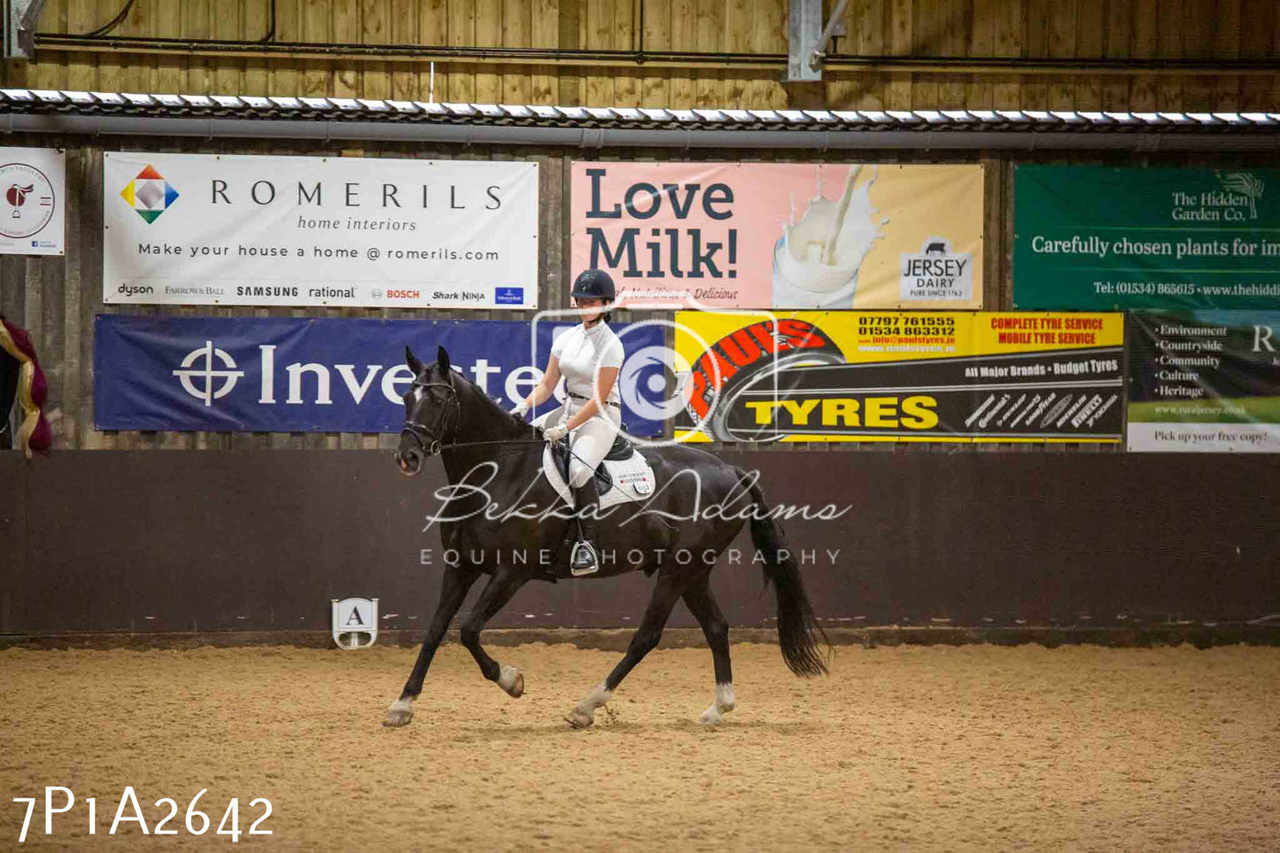 JHOYS 2023 - 6th September - Dressage
