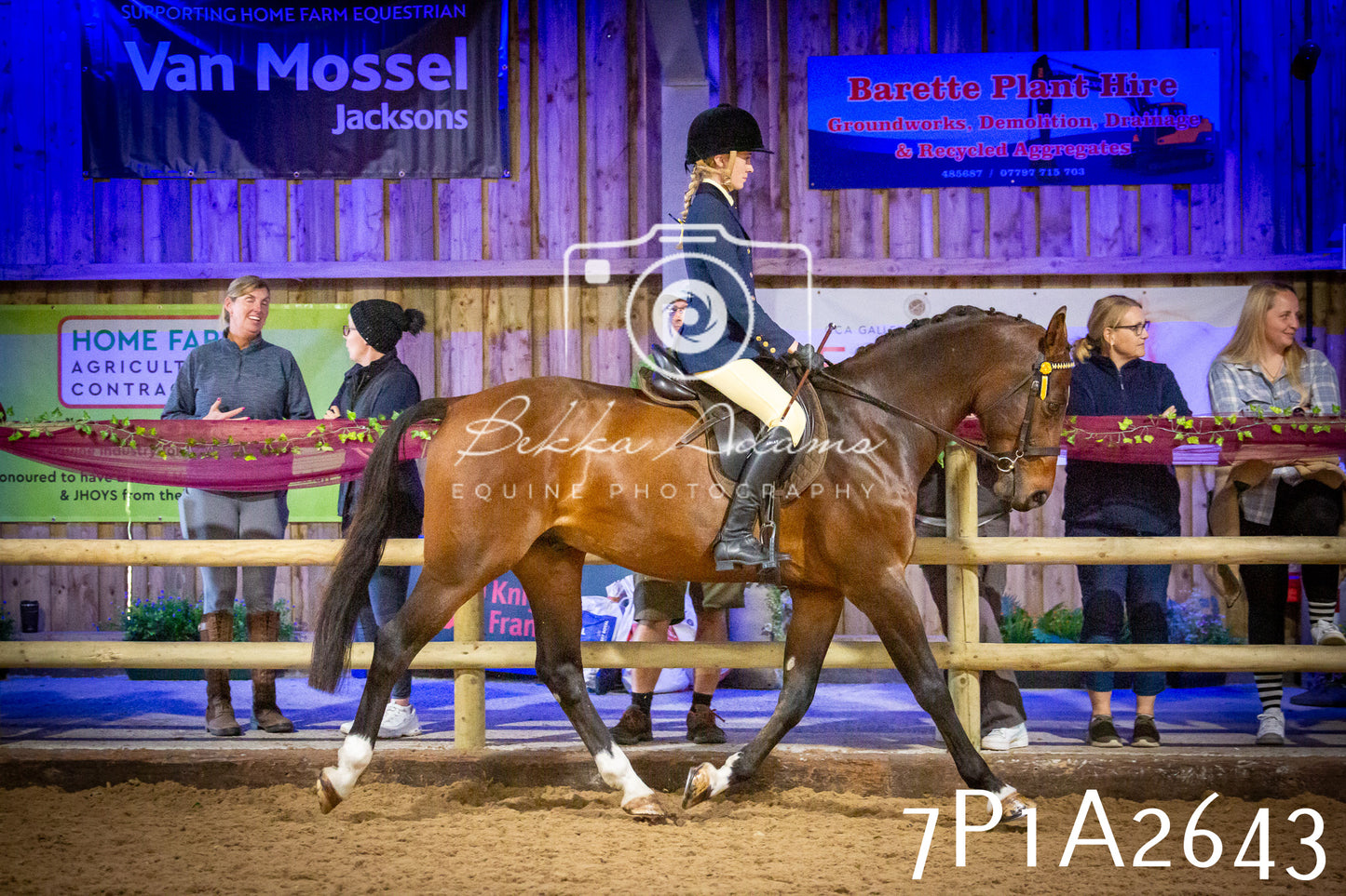 JHOYS 2025 - Ridden Showing - 28th September - pt2