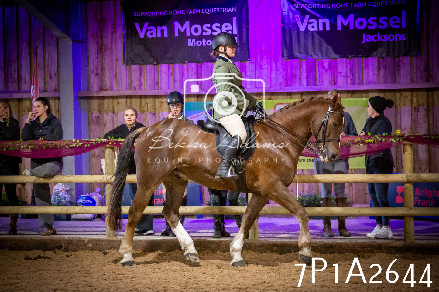 JHOYS 2025 - Ridden Showing - 28th September - pt2
