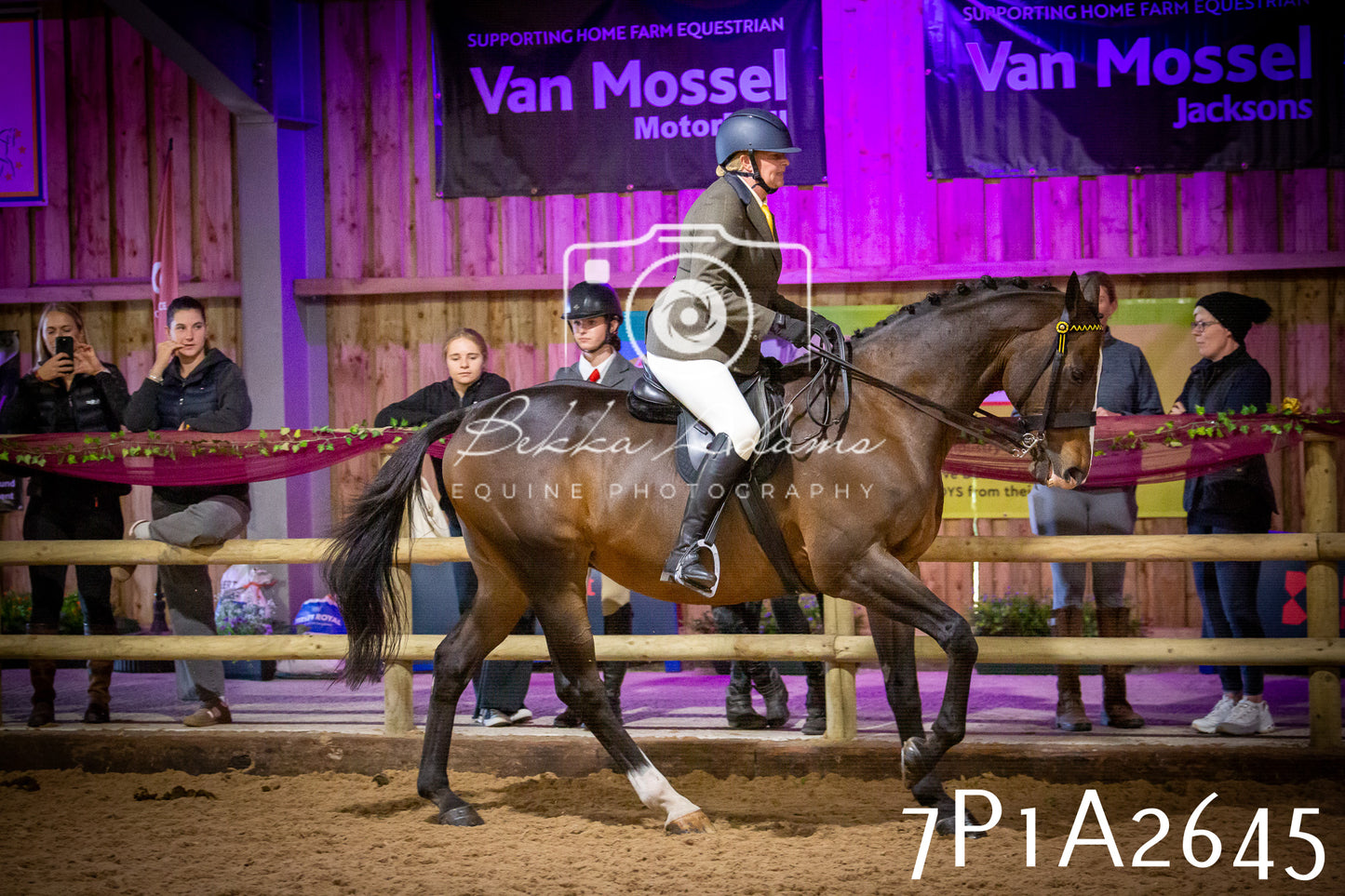 JHOYS 2025 - Ridden Showing - 28th September - pt2