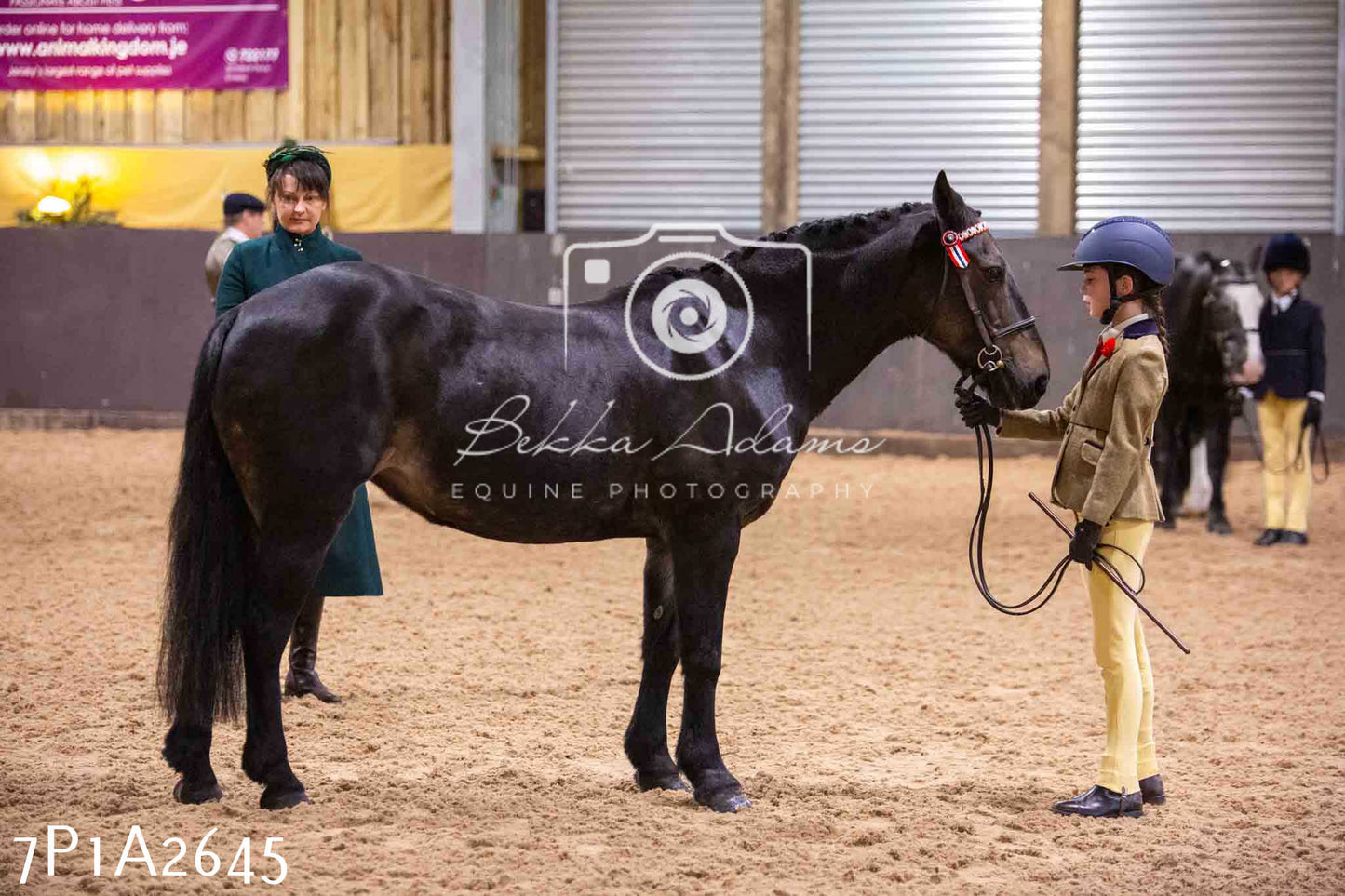 Home Farm Funshine Show 2024 - Inhand Showing 14th September