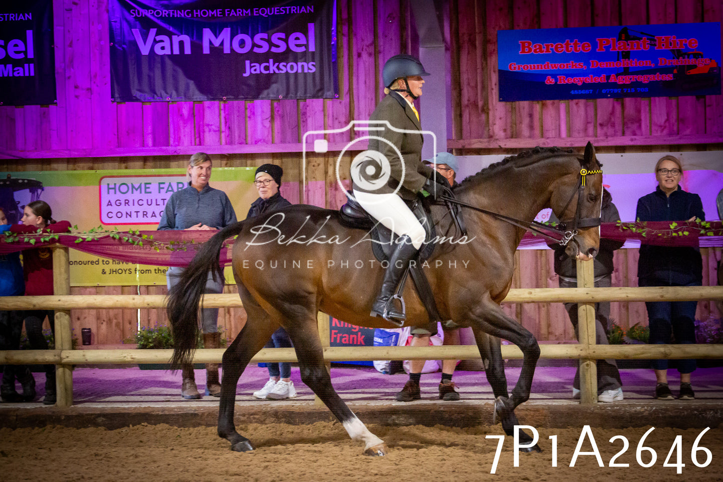 JHOYS 2025 - Ridden Showing - 28th September - pt2