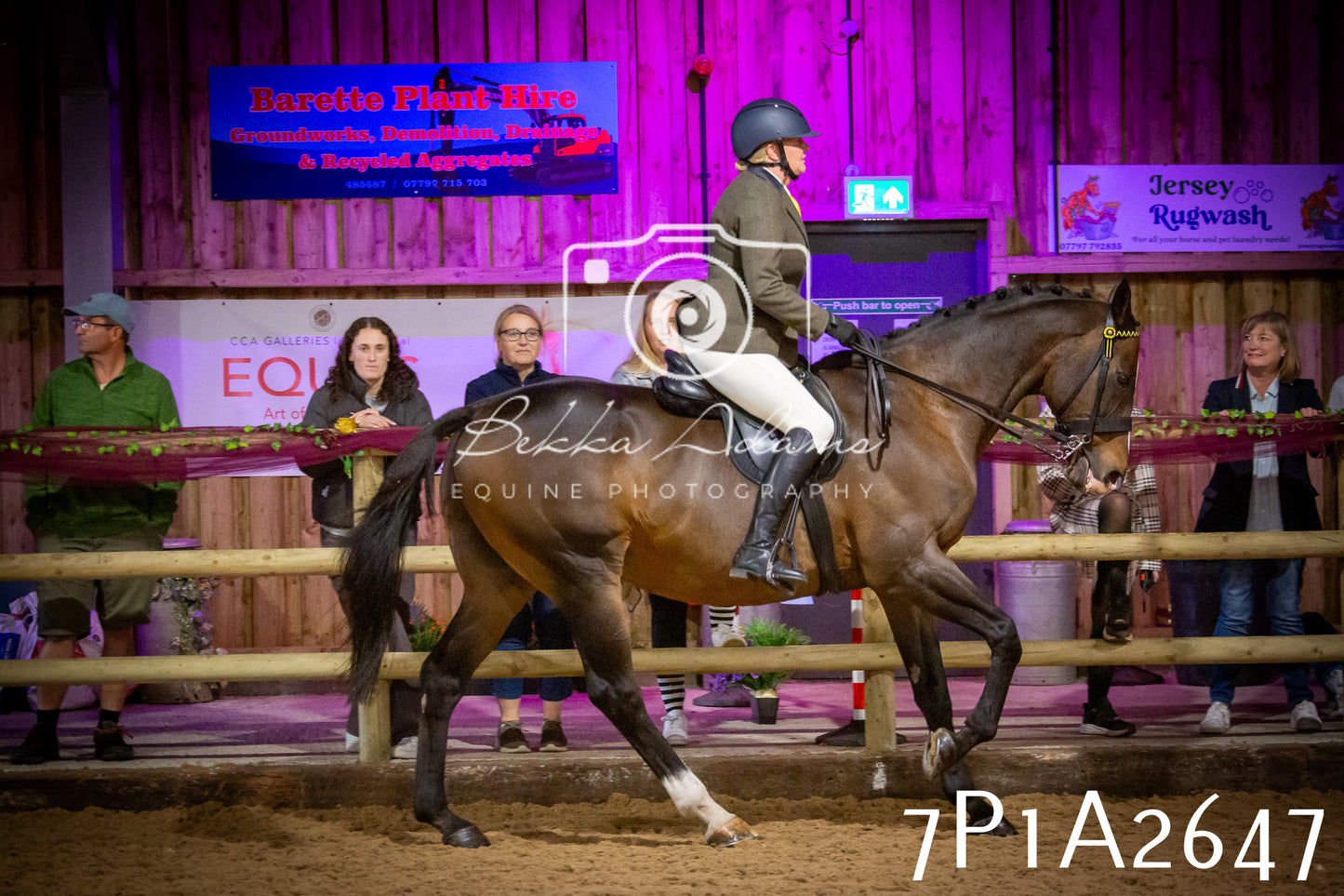 JHOYS 2025 - Ridden Showing - 28th September - pt2