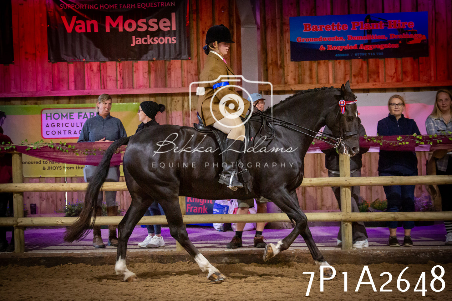 JHOYS 2025 - Ridden Showing - 28th September - pt2
