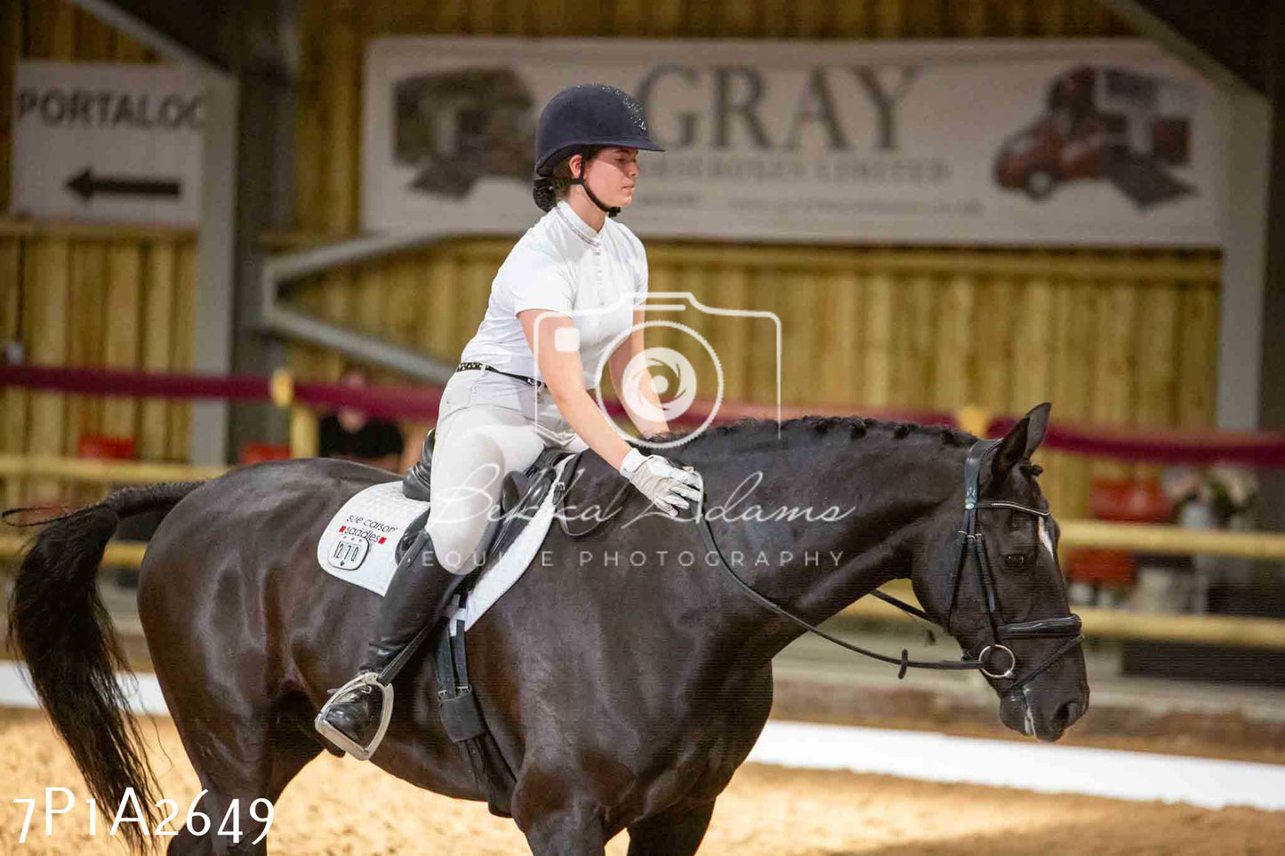 JHOYS 2023 - 6th September - Dressage