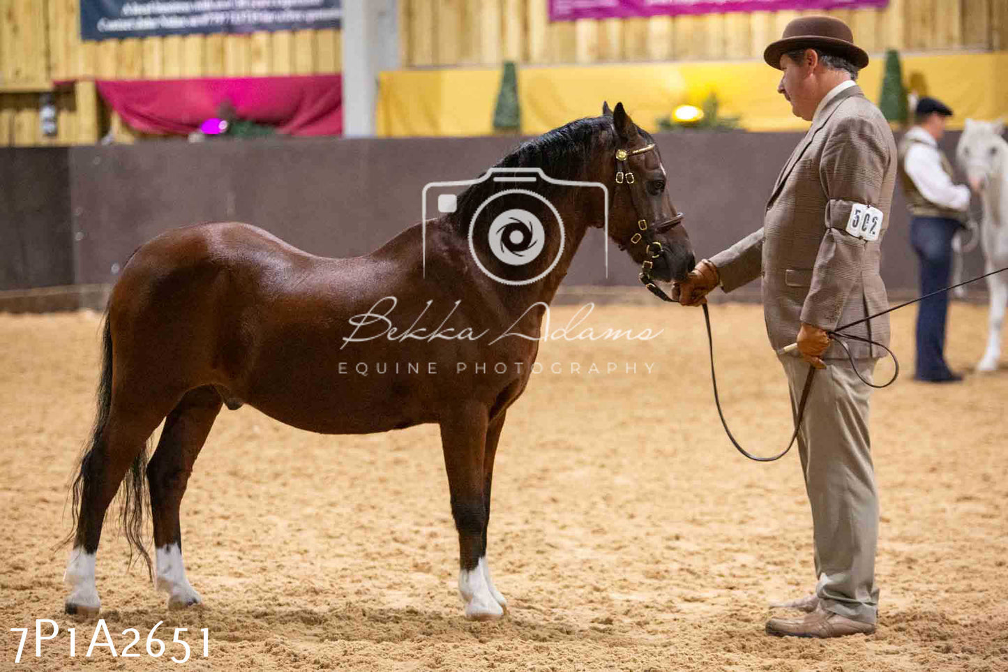 Home Farm Funshine Show 2024 - Inhand Showing 14th September