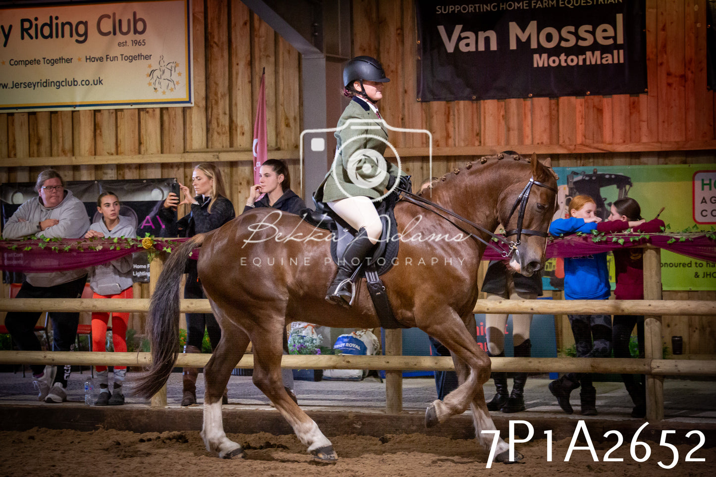 JHOYS 2025 - Ridden Showing - 28th September - pt2