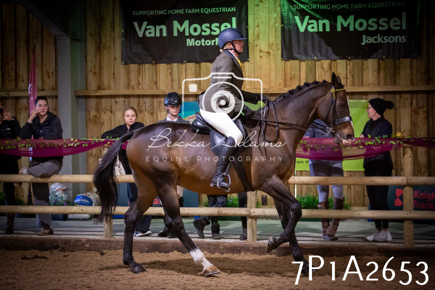 JHOYS 2025 - Ridden Showing - 28th September - pt2