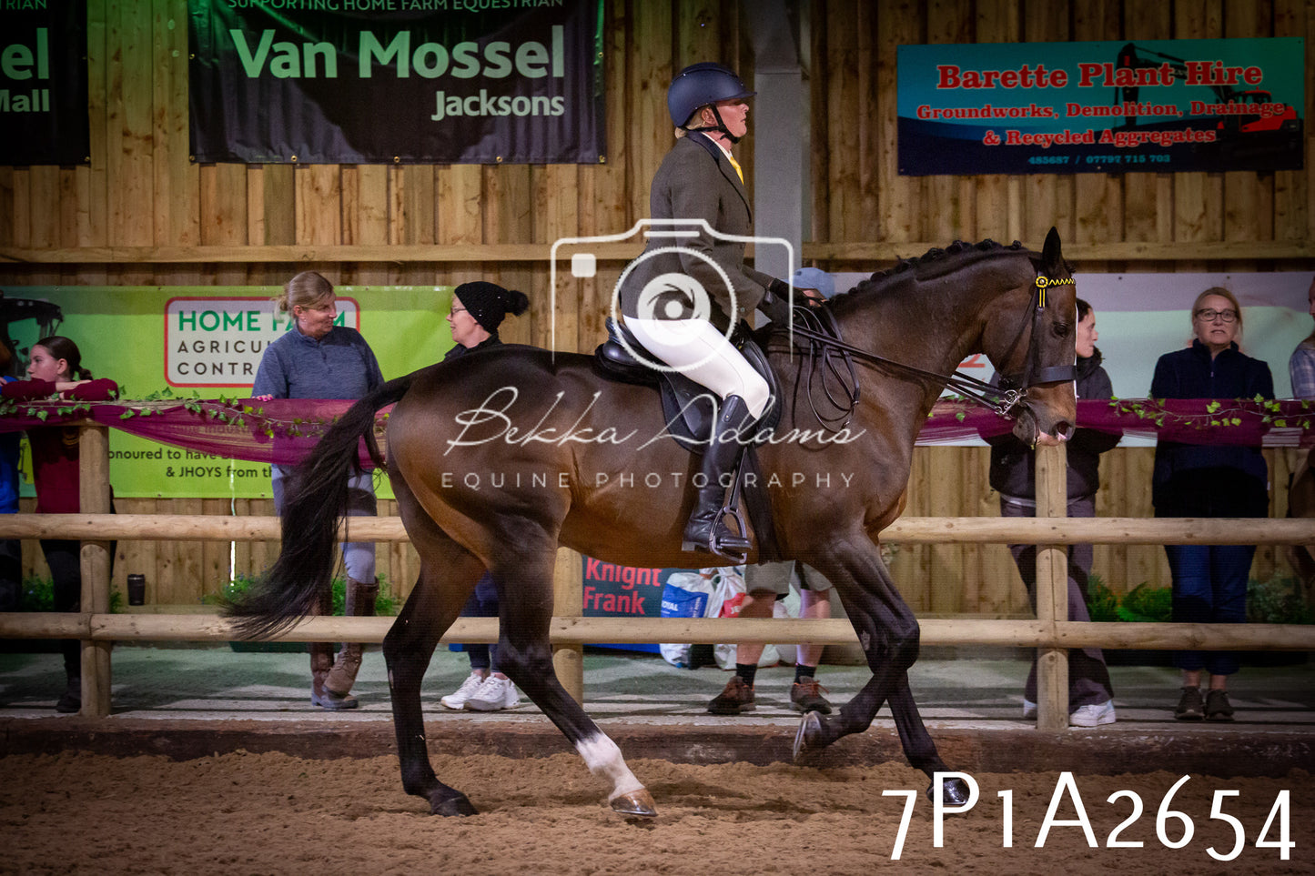 JHOYS 2025 - Ridden Showing - 28th September - pt2