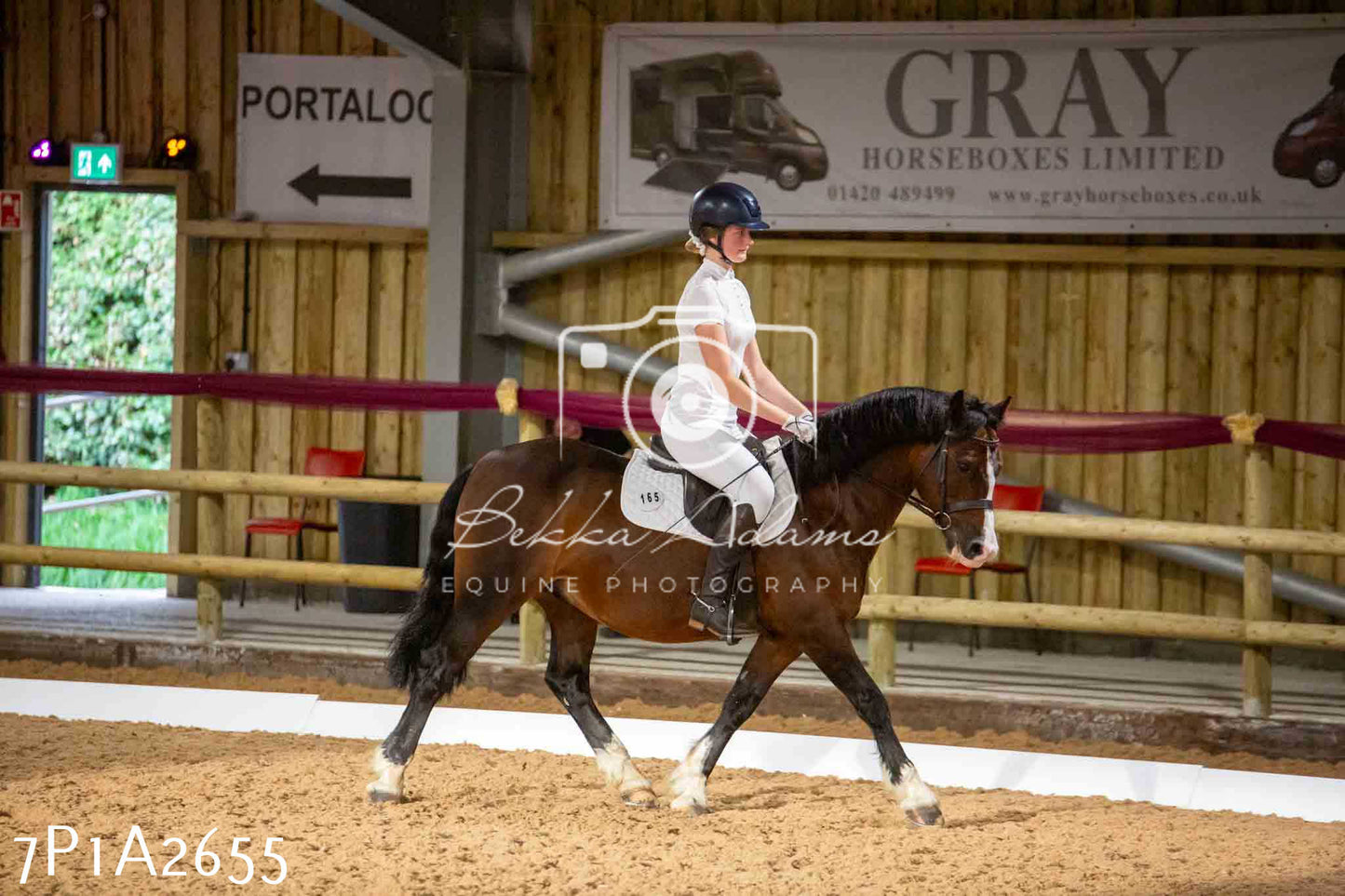 JHOYS 2023 - 6th September - Dressage