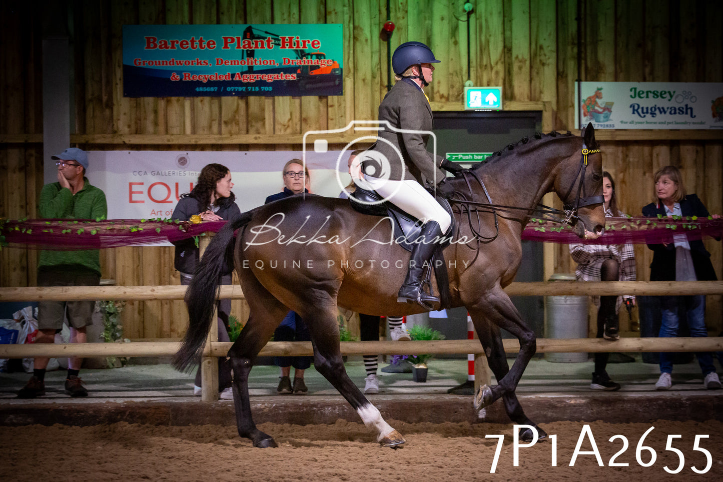 JHOYS 2025 - Ridden Showing - 28th September - pt2