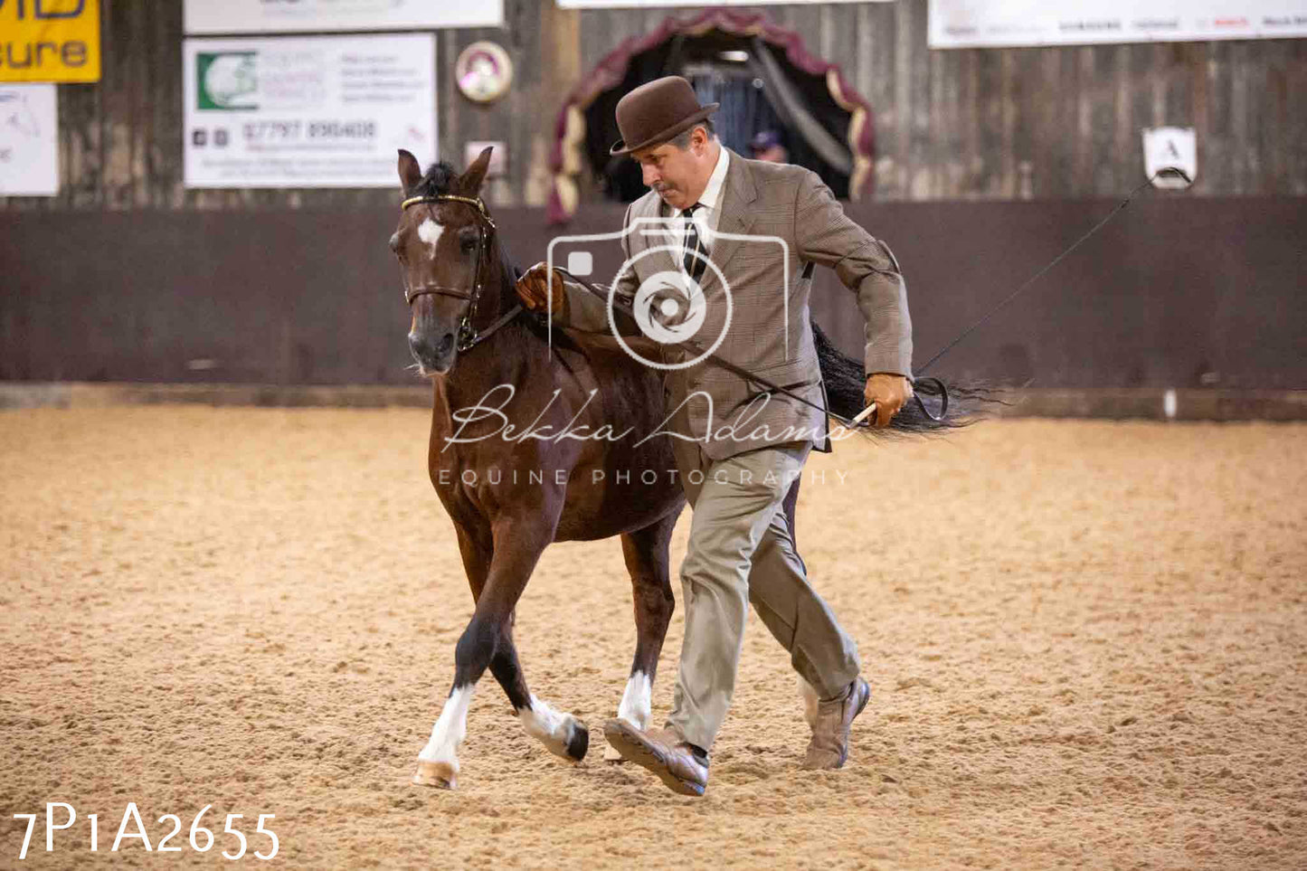Home Farm Funshine Show 2024 - Inhand Showing 14th September