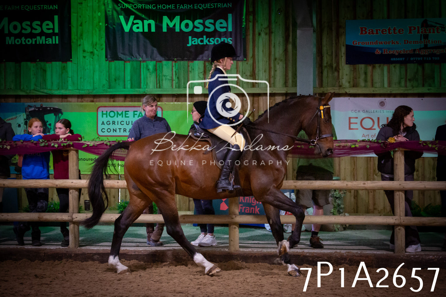 JHOYS 2025 - Ridden Showing - 28th September - pt2