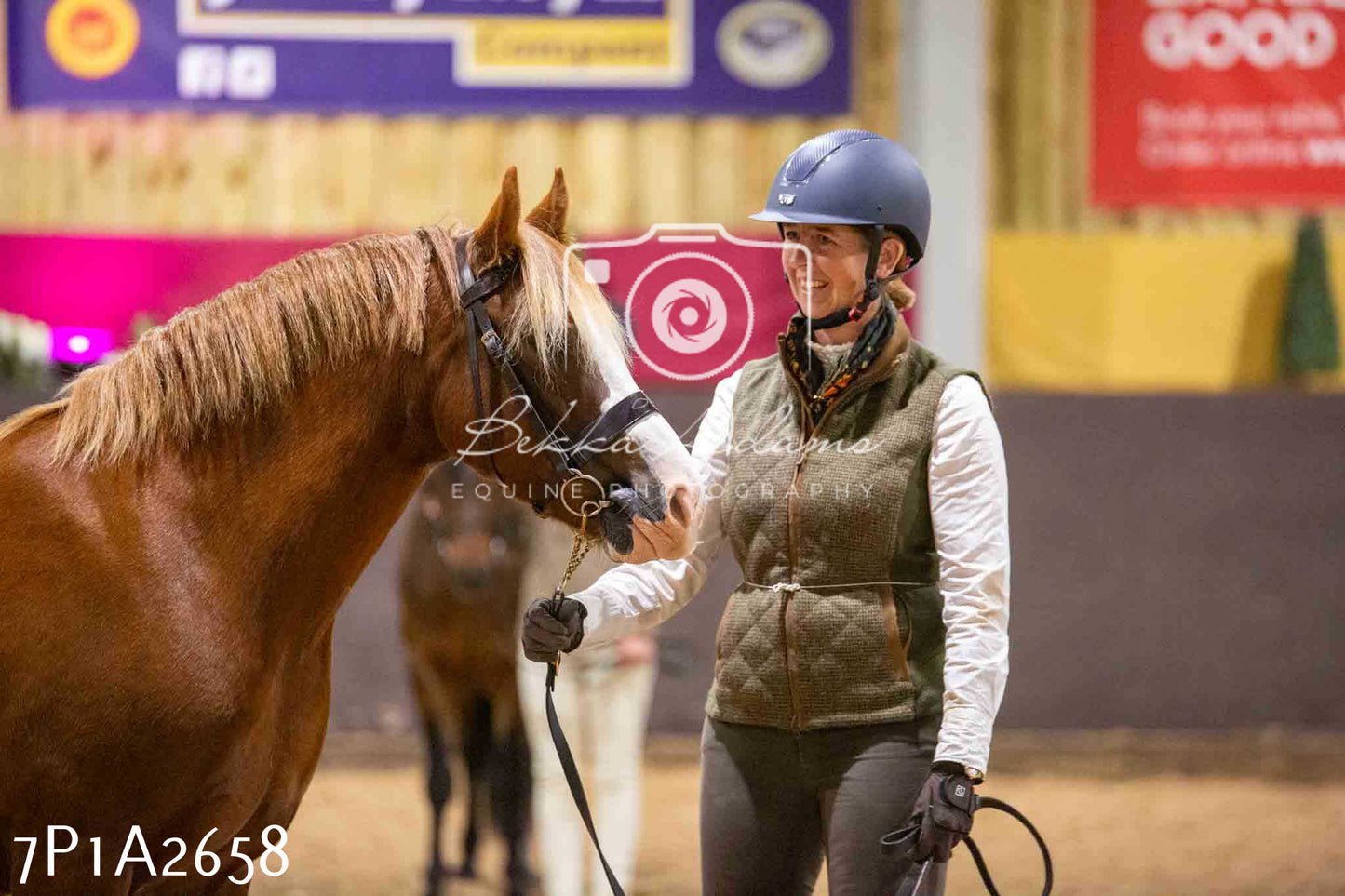 Home Farm Funshine Show 2024 - Inhand Showing 14th September