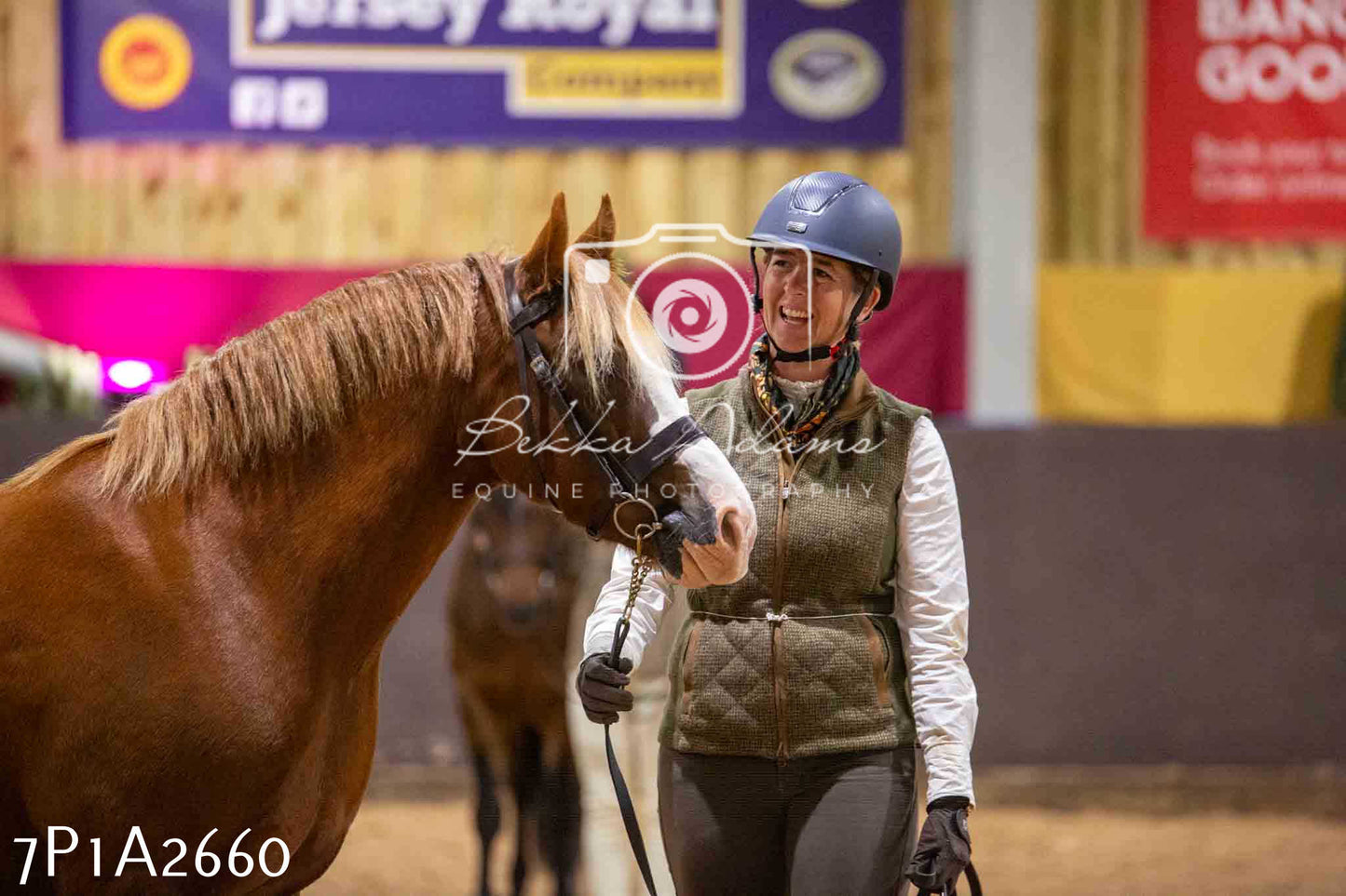 Home Farm Funshine Show 2024 - Inhand Showing 14th September