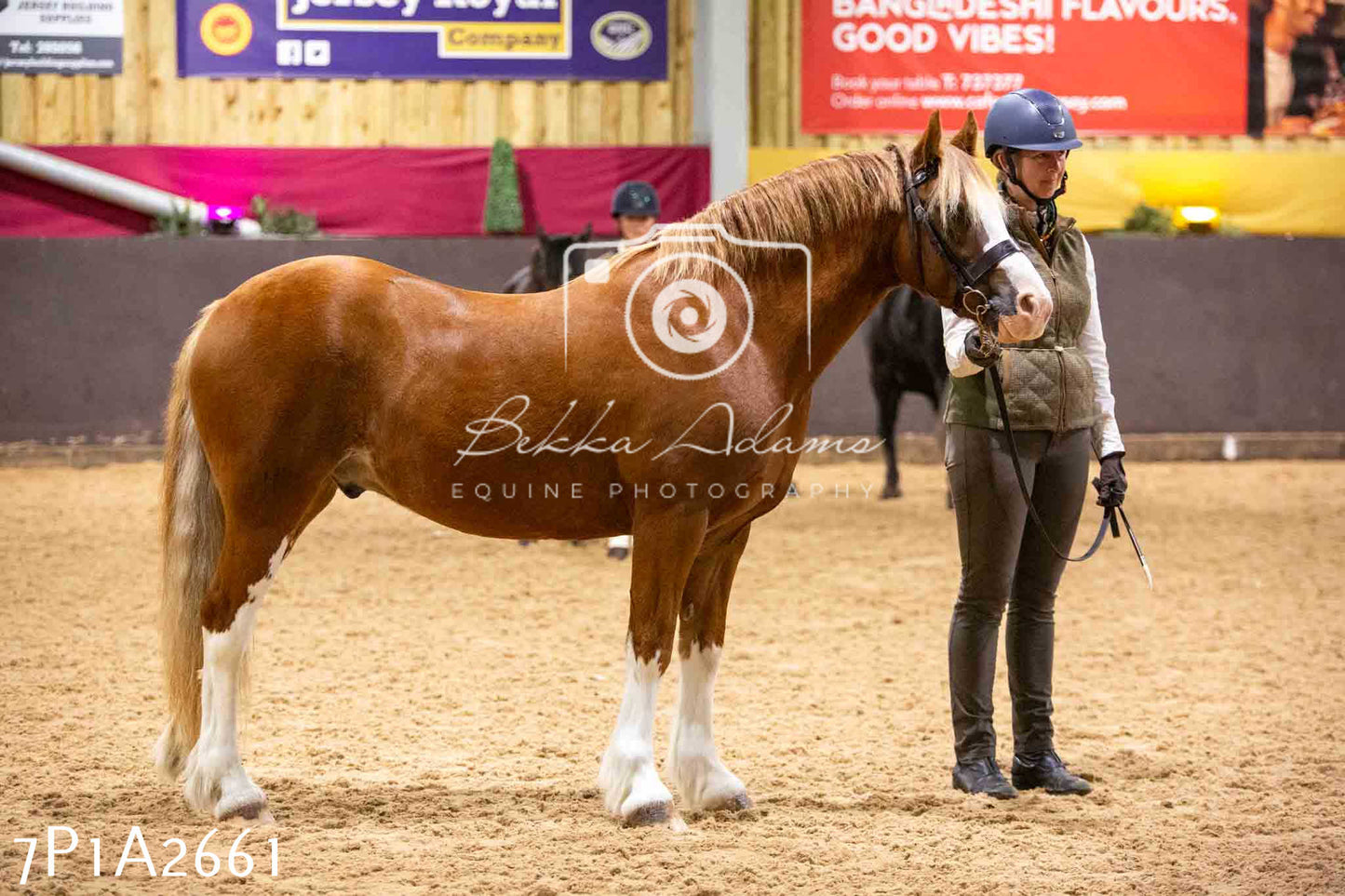 Home Farm Funshine Show 2024 - Inhand Showing 14th September