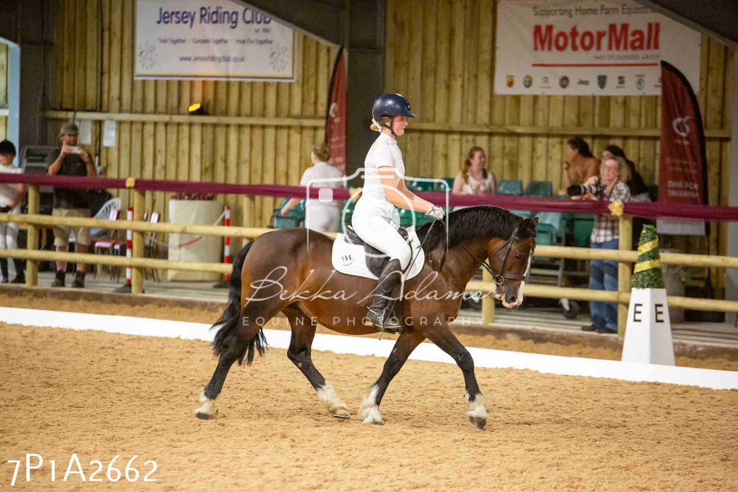 JHOYS 2023 - 6th September - Dressage