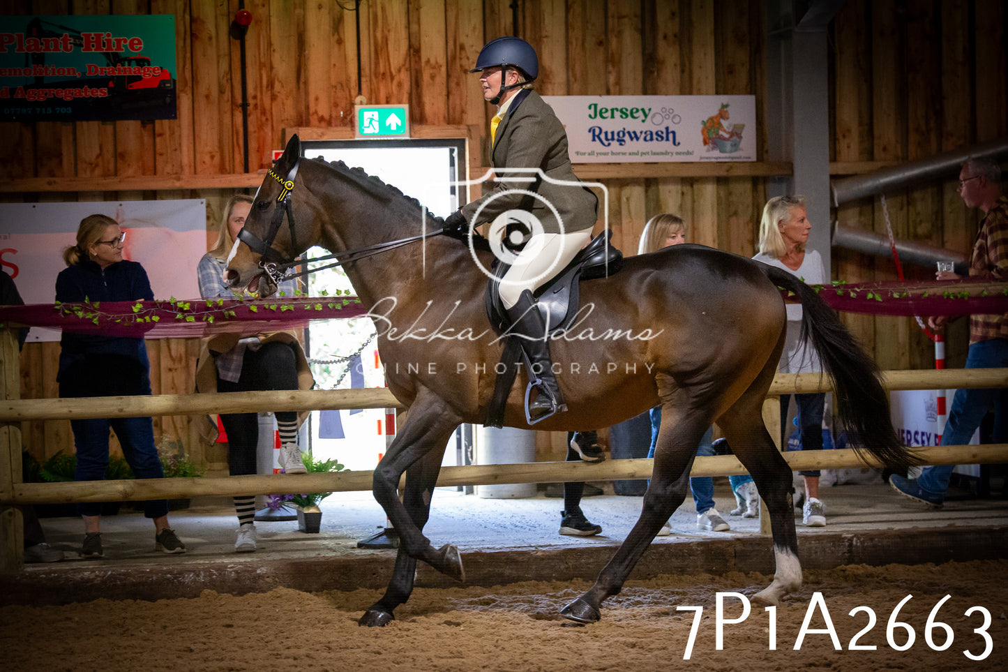 JHOYS 2025 - Ridden Showing - 28th September - pt2