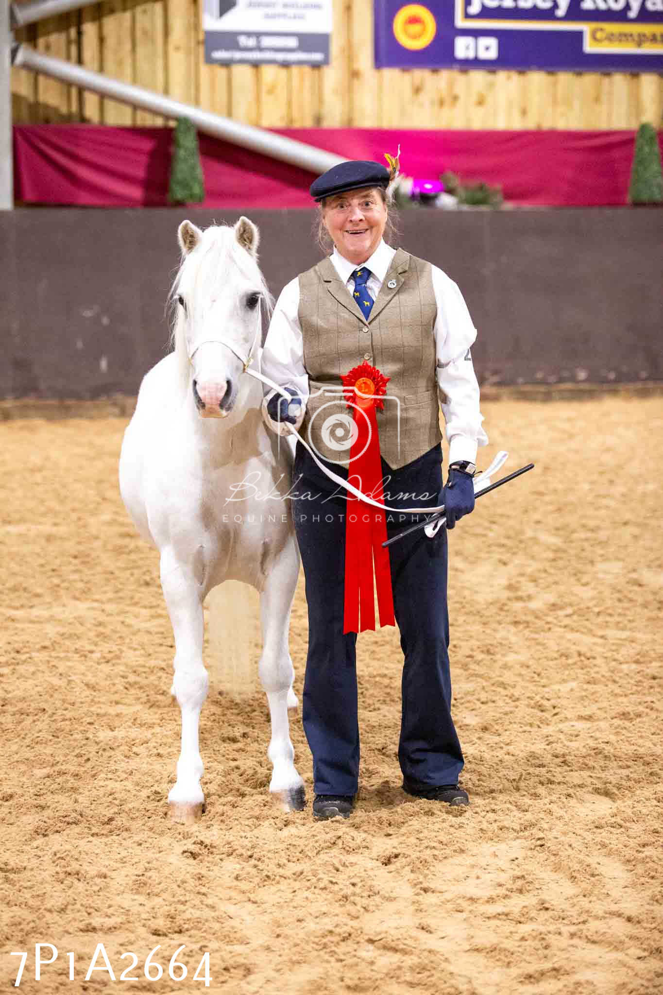 Home Farm Funshine Show 2024 - Inhand Showing 14th September