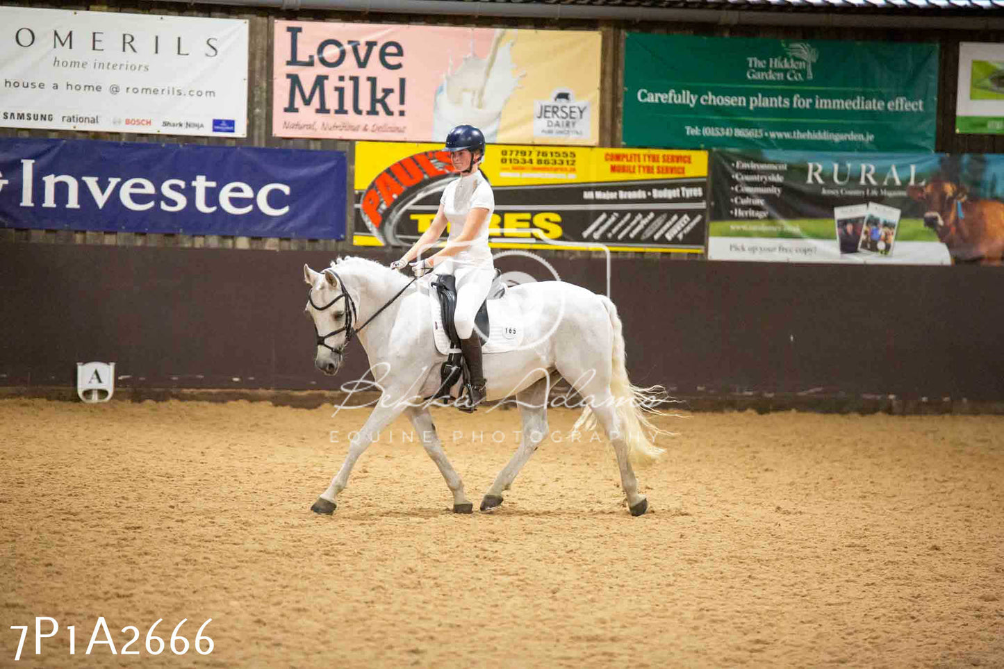 JHOYS 2023 - 6th September - Dressage