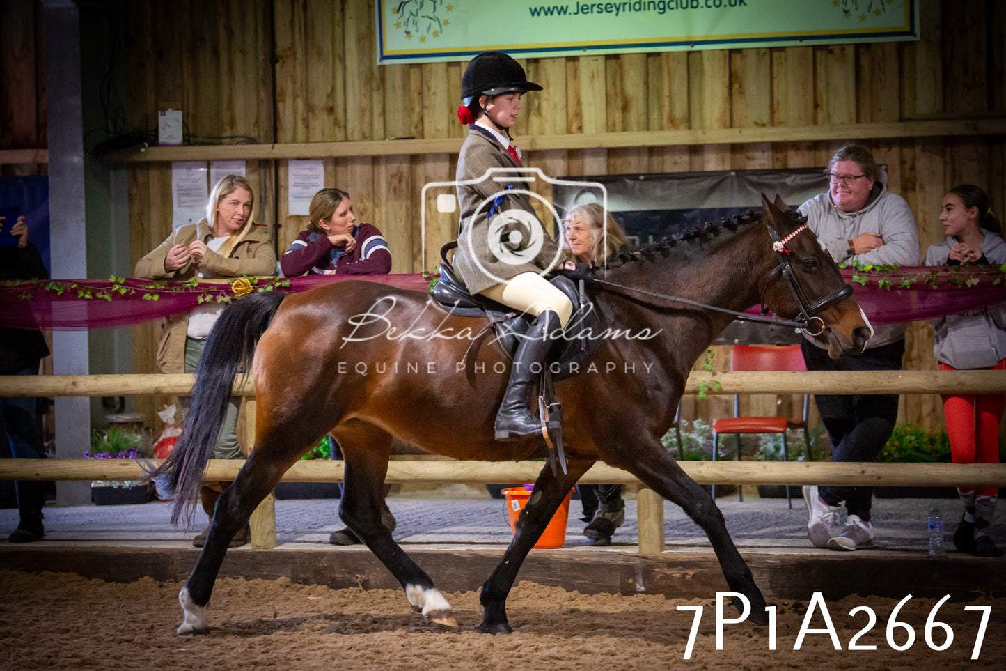 JHOYS 2025 - Ridden Showing - 28th September - pt2
