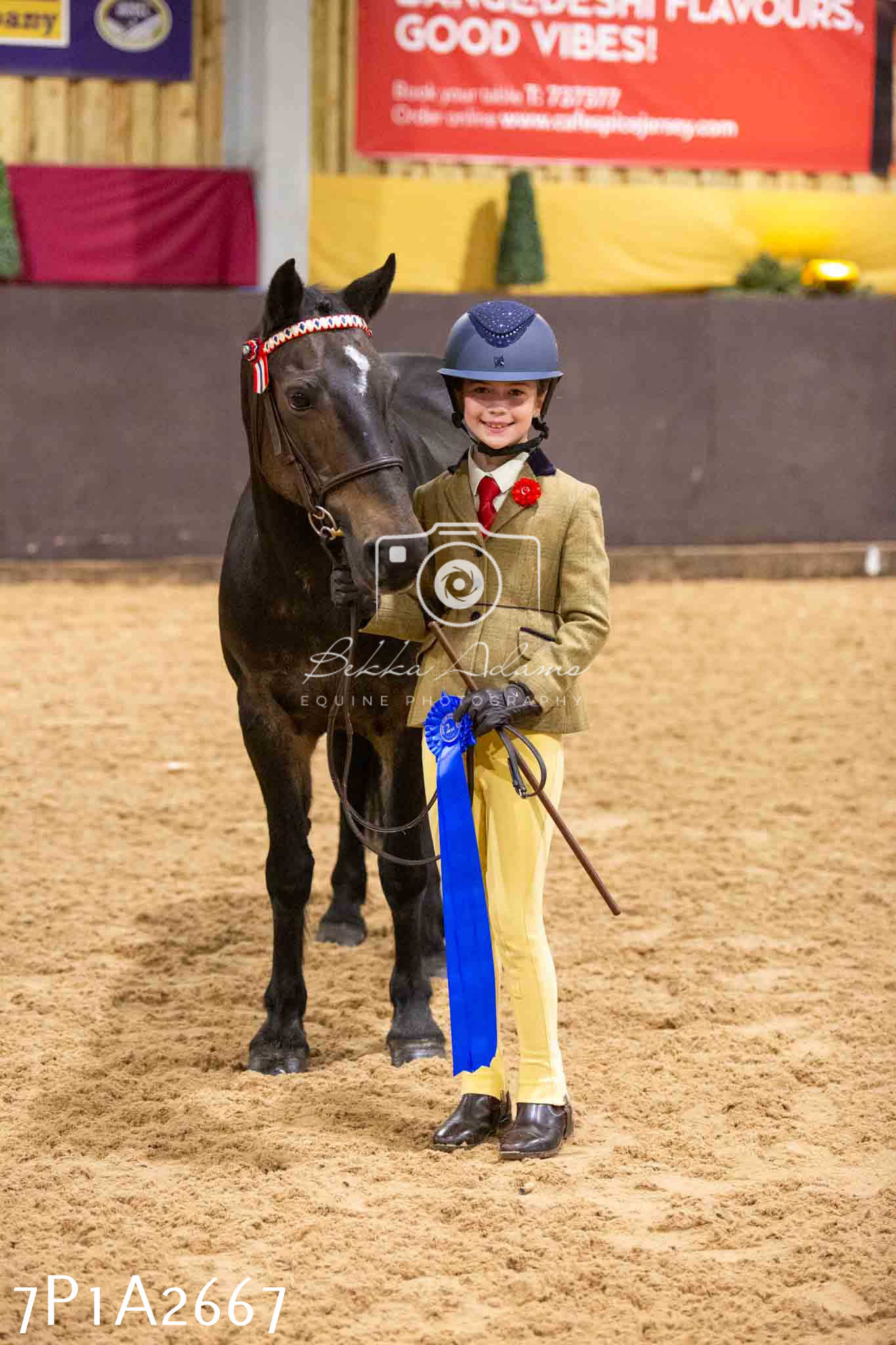 Home Farm Funshine Show 2024 - Inhand Showing 14th September