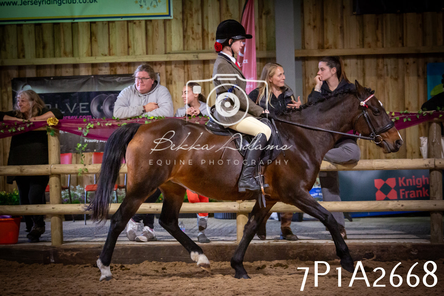 JHOYS 2025 - Ridden Showing - 28th September - pt2