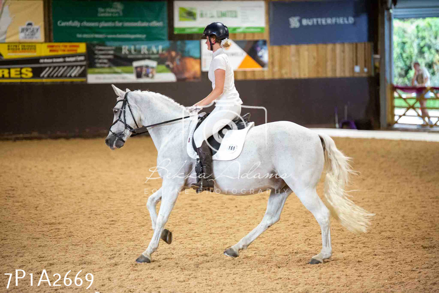JHOYS 2023 - 6th September - Dressage