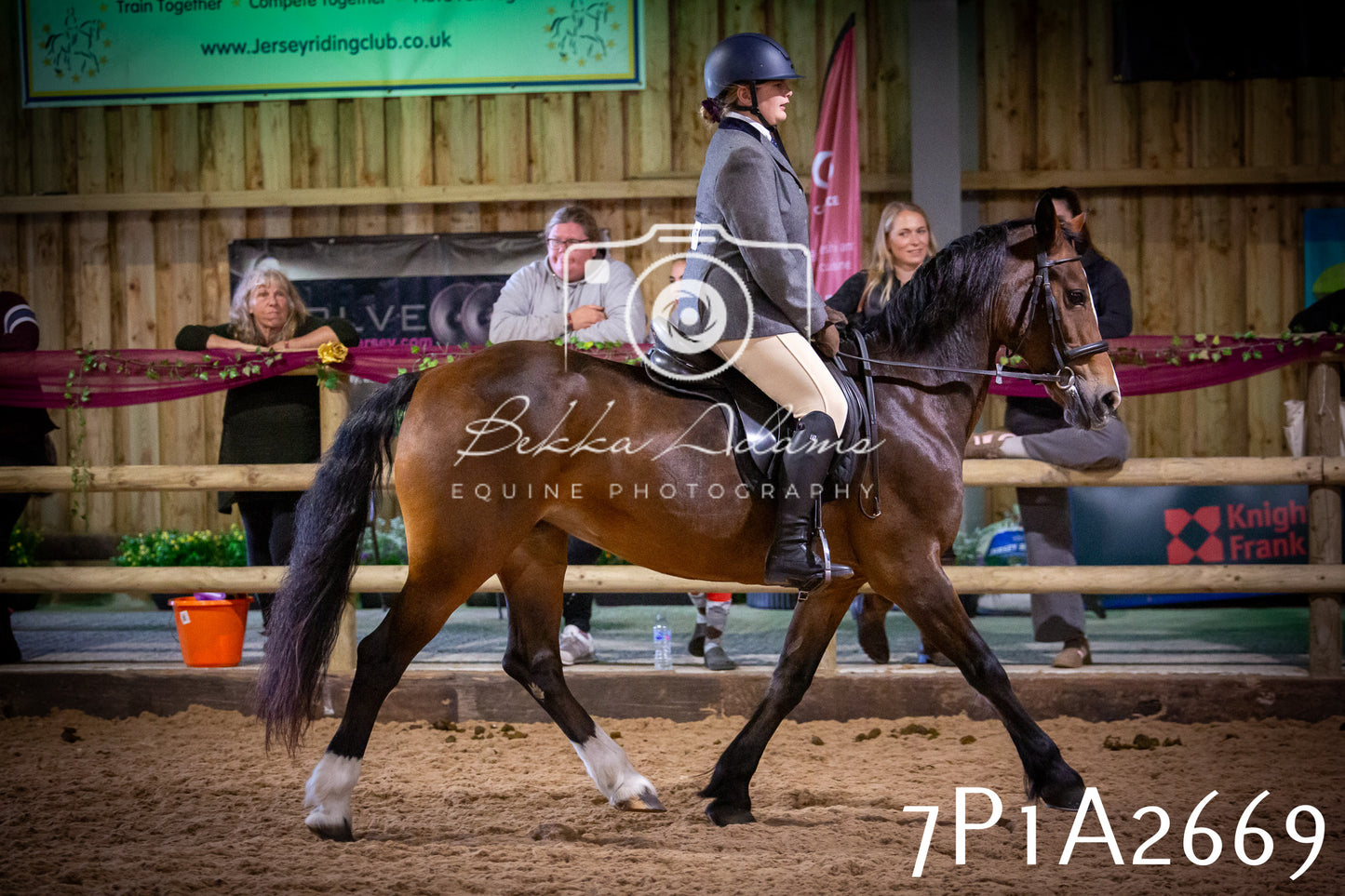 JHOYS 2025 - Ridden Showing - 28th September - pt2
