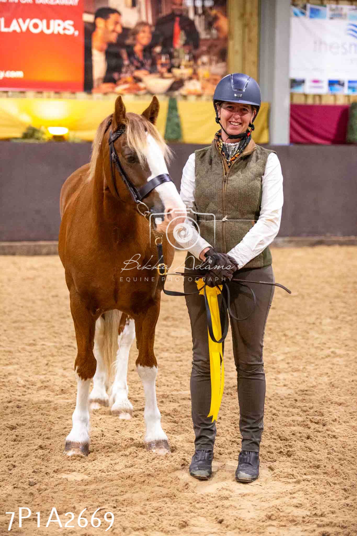 Home Farm Funshine Show 2024 - Inhand Showing 14th September