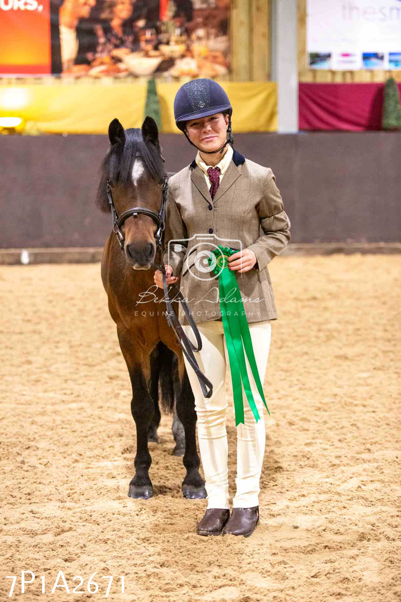 Home Farm Funshine Show 2024 - Inhand Showing 14th September