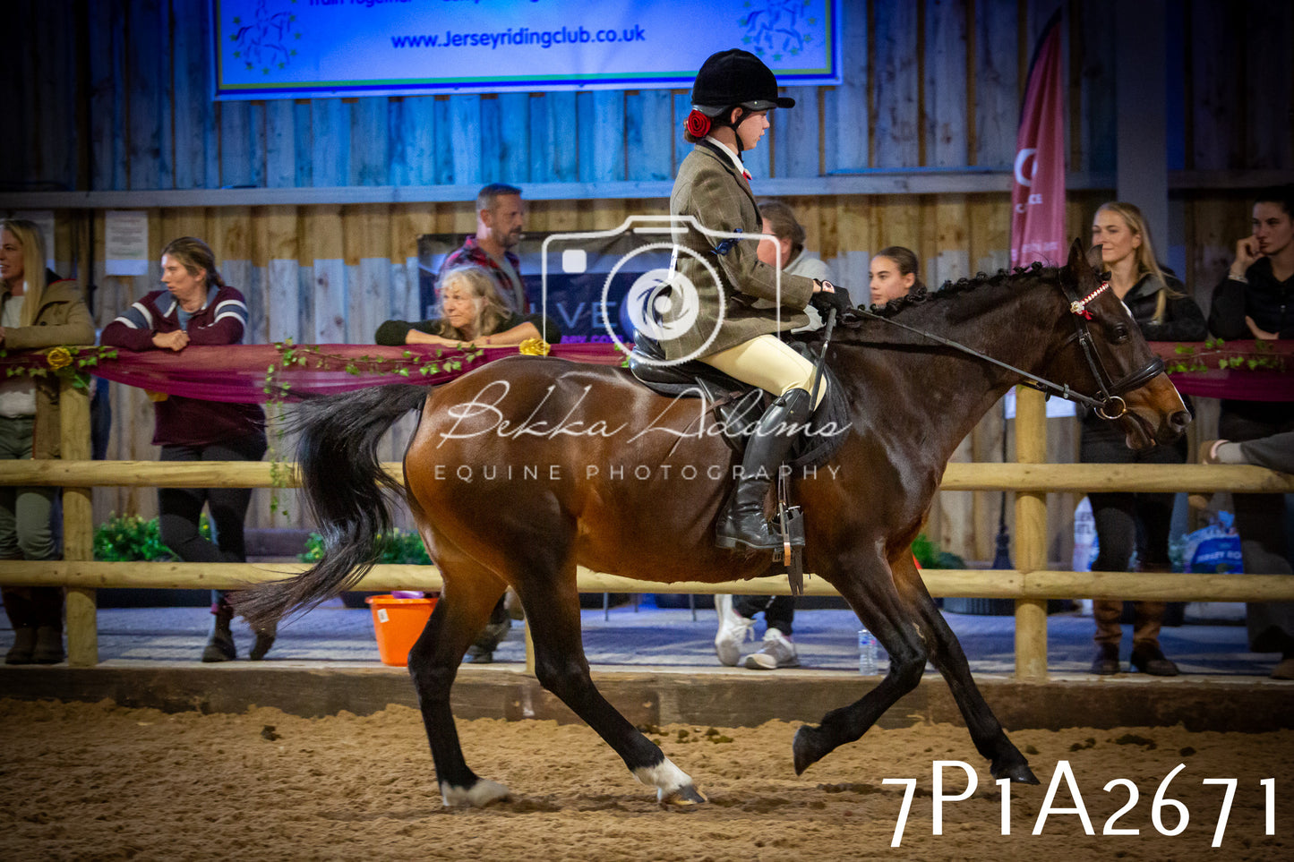 JHOYS 2025 - Ridden Showing - 28th September - pt2