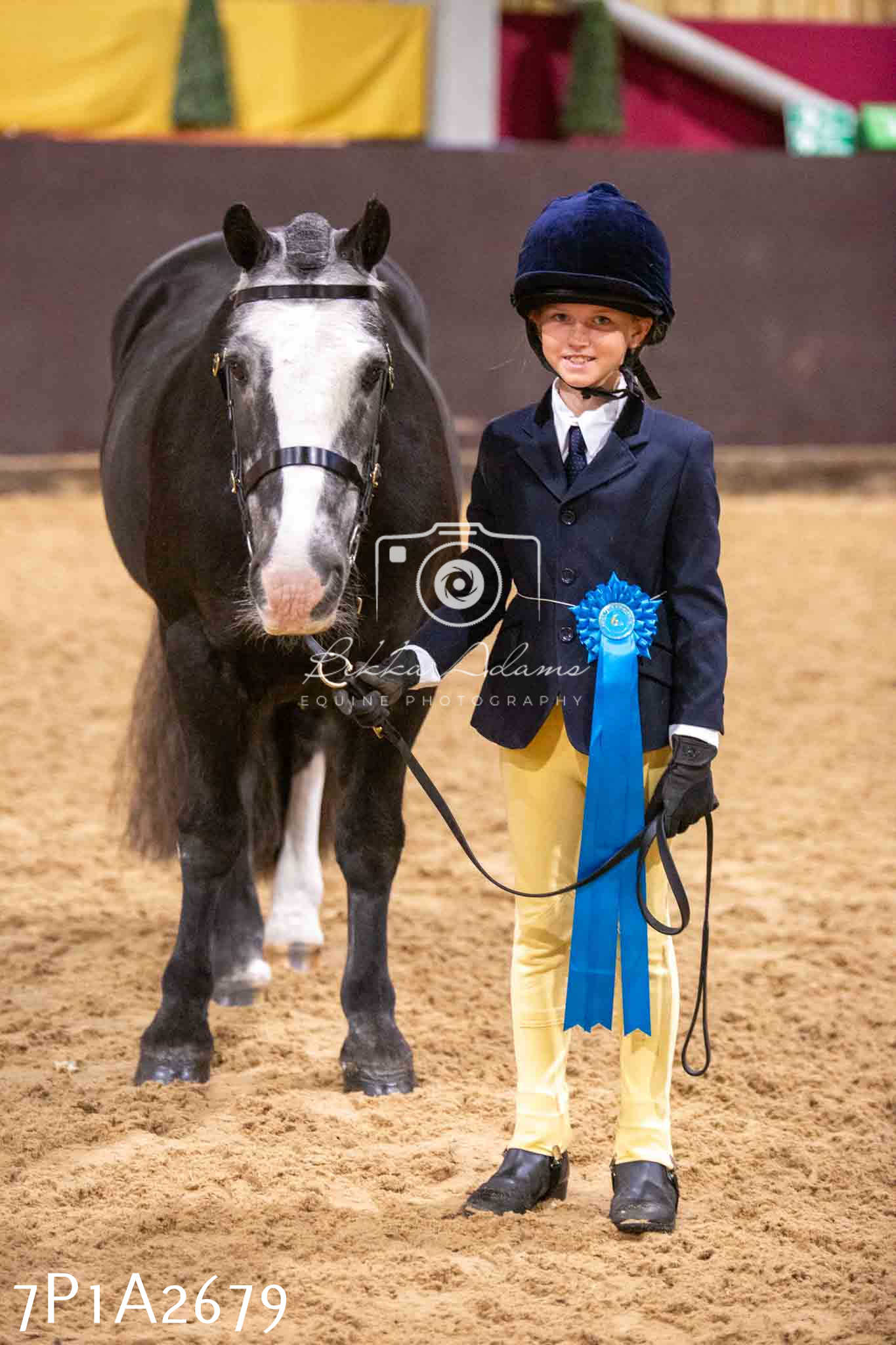 Home Farm Funshine Show 2024 - Inhand Showing 14th September