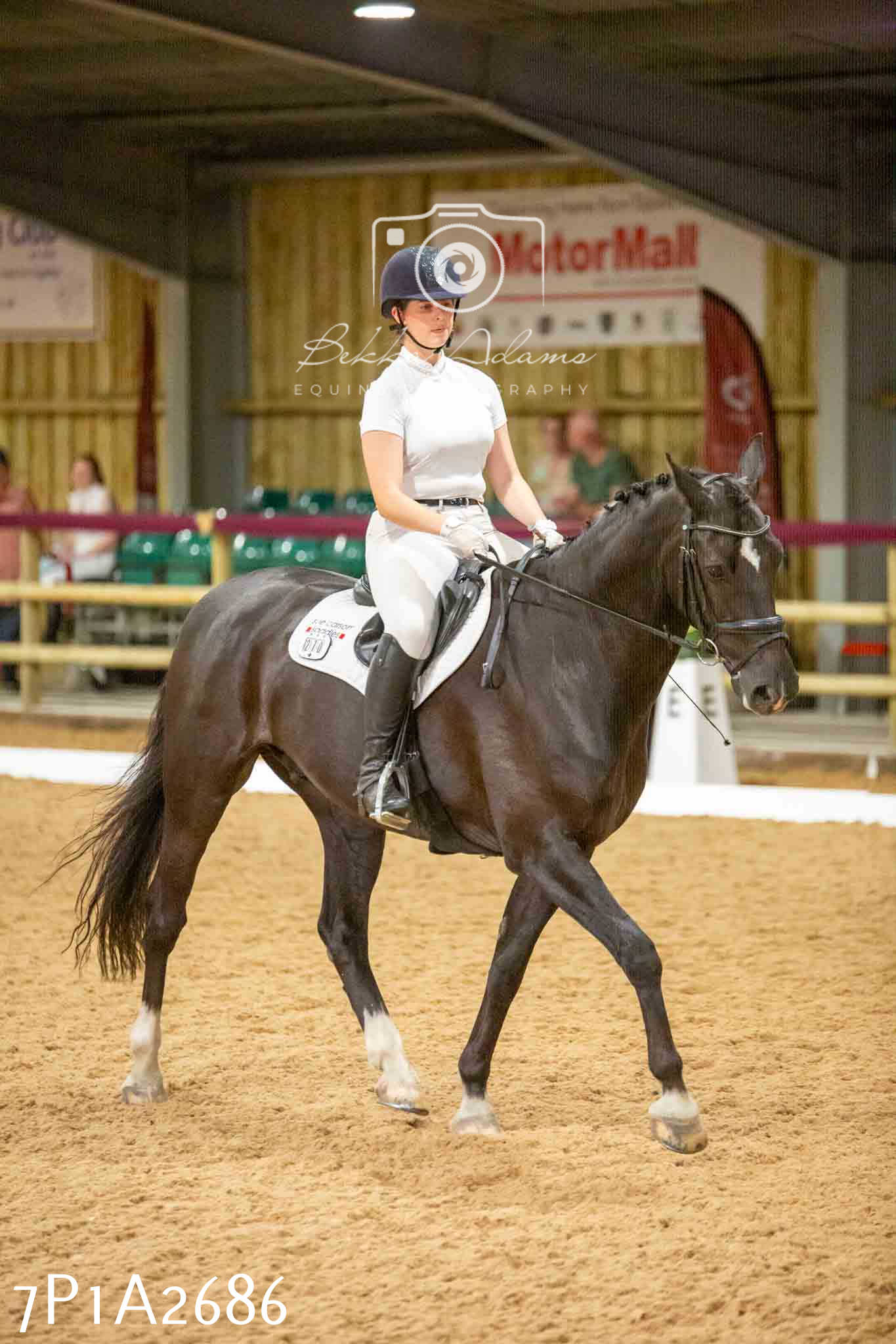 JHOYS 2023 - 6th September - Dressage