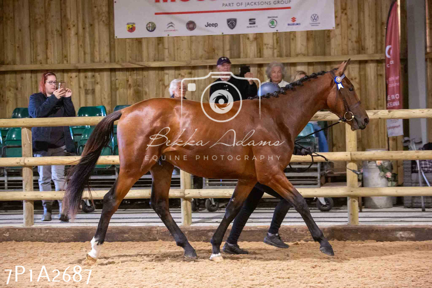 Home Farm Funshine Show 2024 - Inhand Showing 14th September