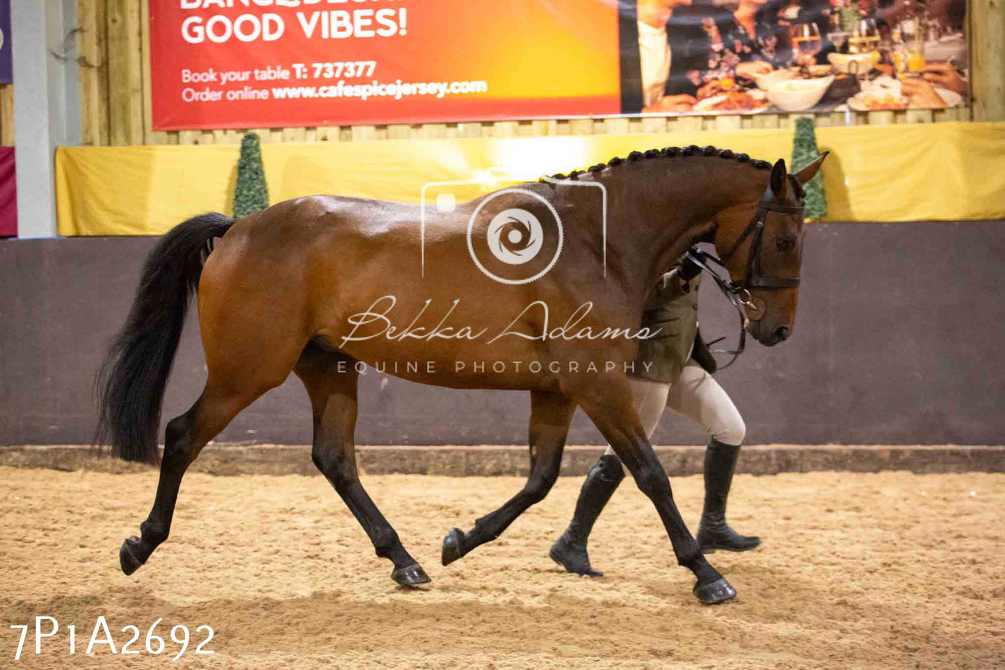 Home Farm Funshine Show 2024 - Inhand Showing 14th September