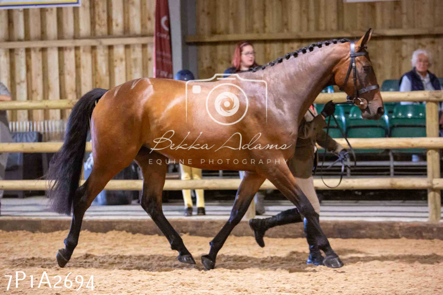 Home Farm Funshine Show 2024 - Inhand Showing 14th September