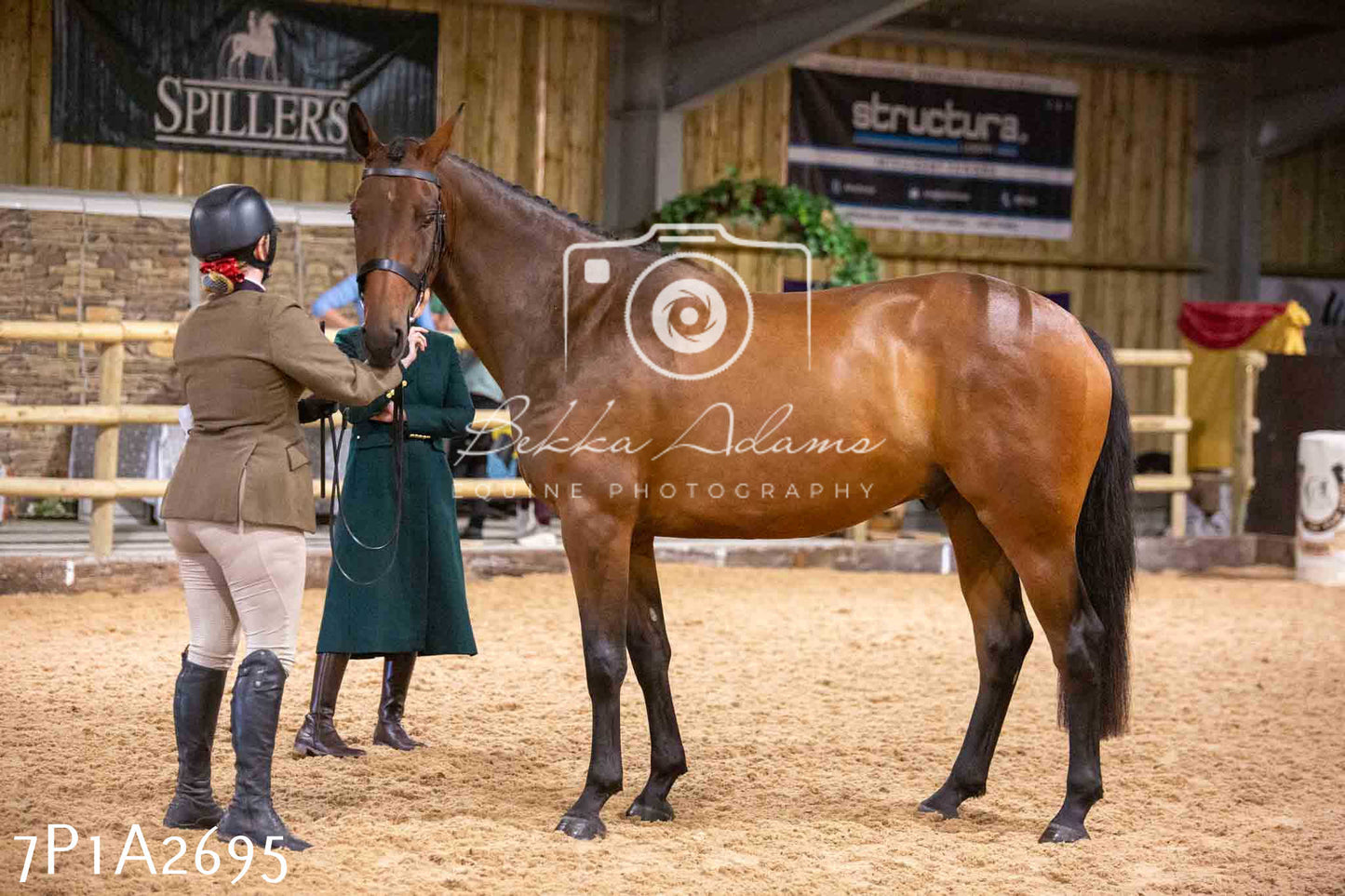 Home Farm Funshine Show 2024 - Inhand Showing 14th September