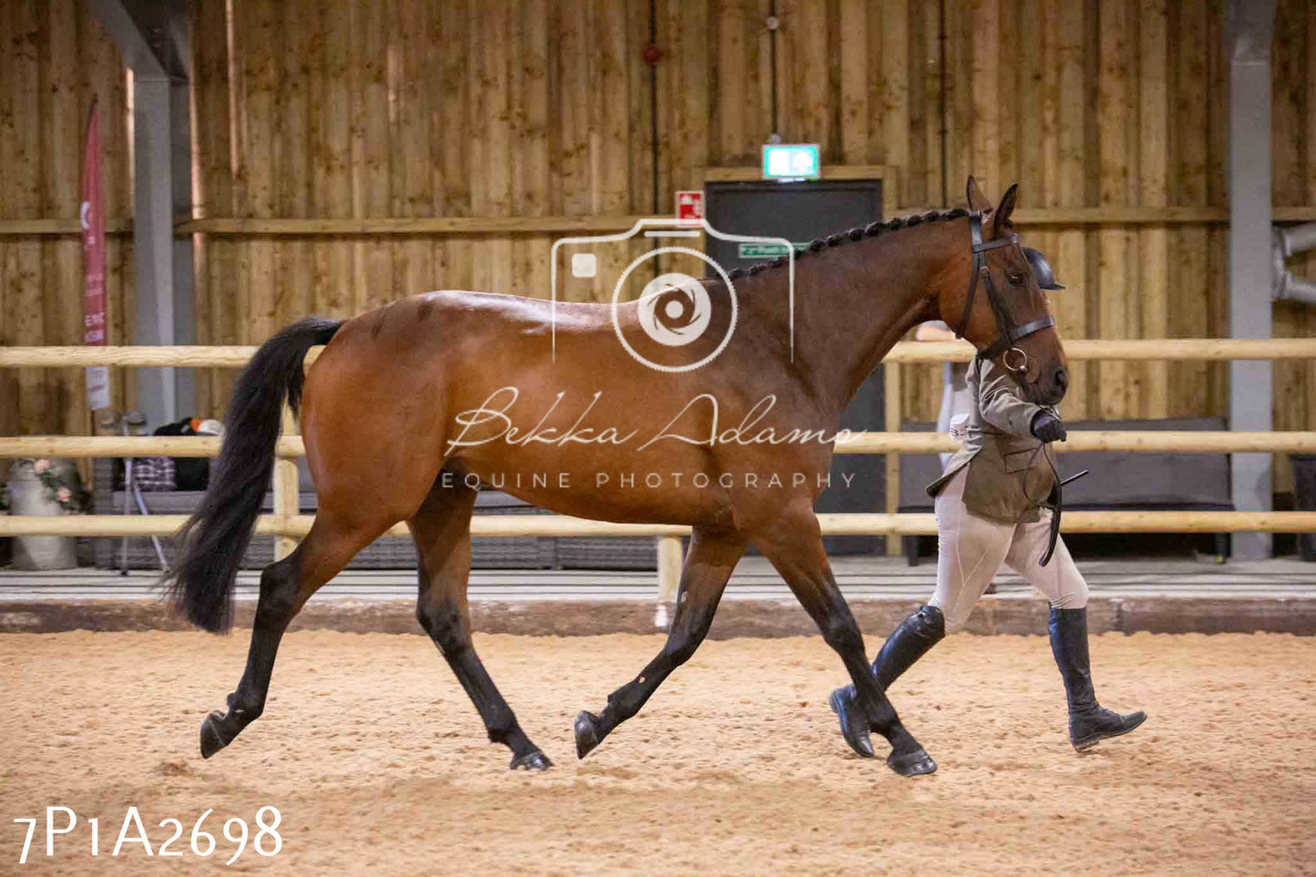 Home Farm Funshine Show 2024 - Inhand Showing 14th September