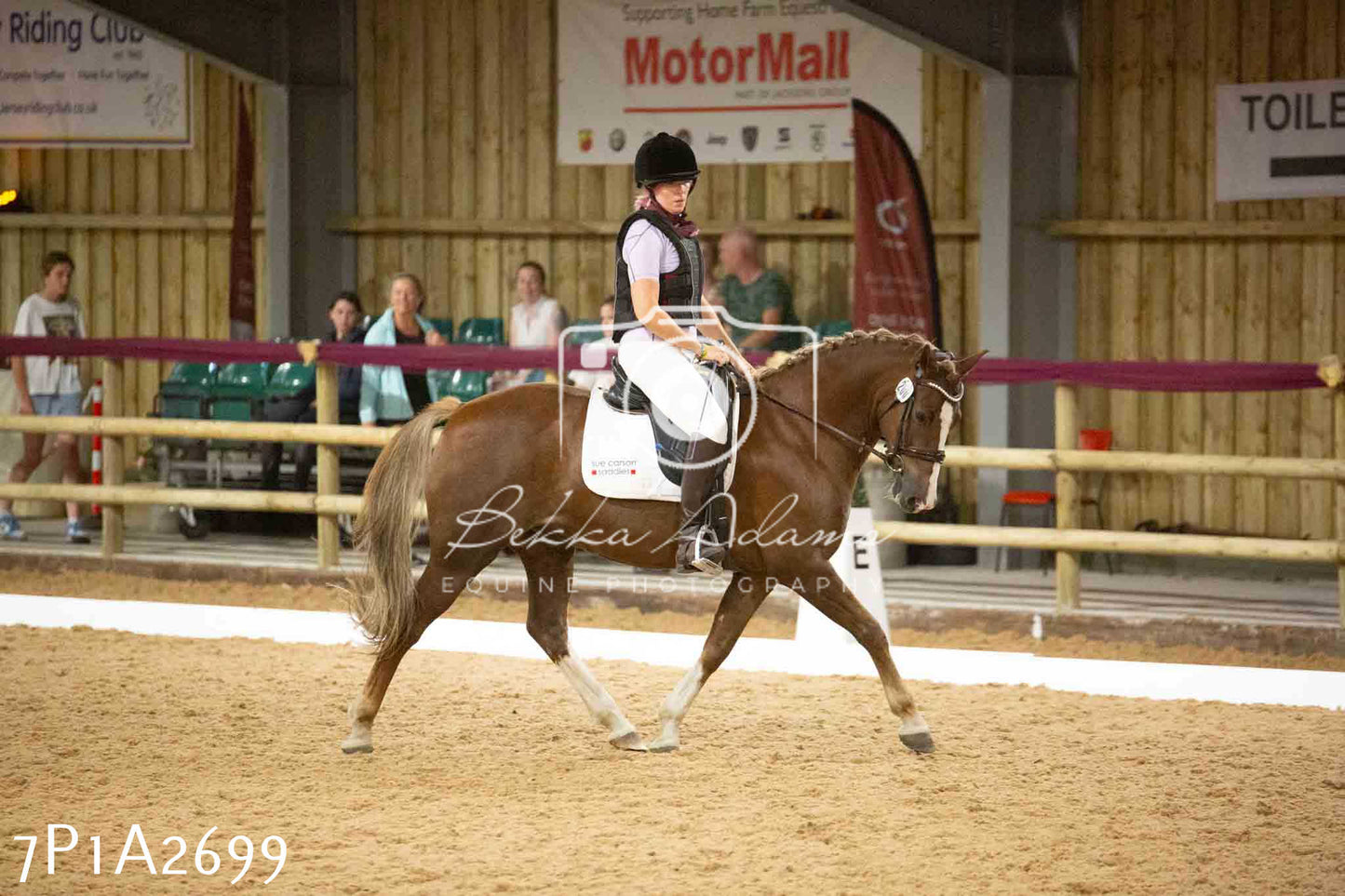 JHOYS 2023 - 6th September - Dressage