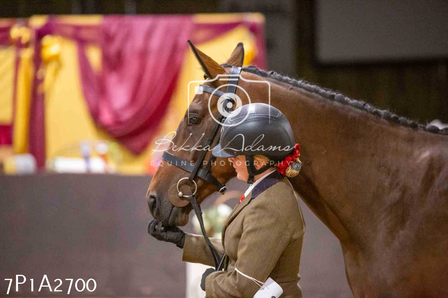 Home Farm Funshine Show 2024 - Inhand Showing 14th September
